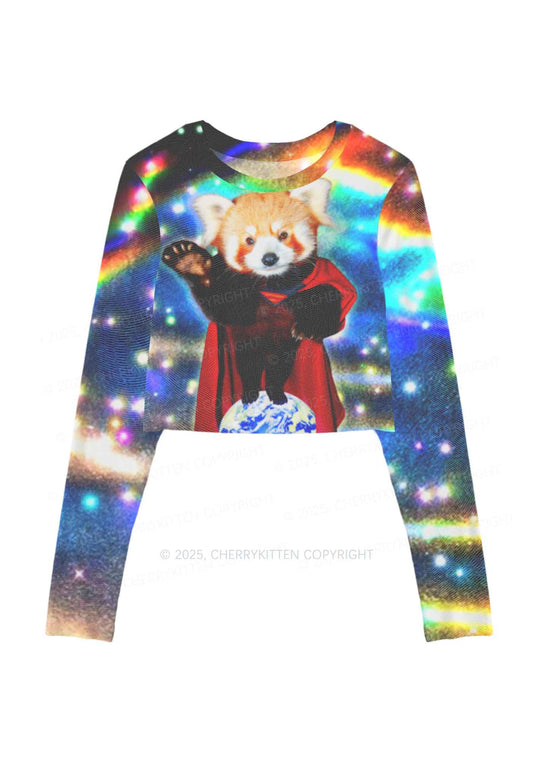 Super Raccoon Y2K Mesh Long Sleeve Crop Top Cherrykitten