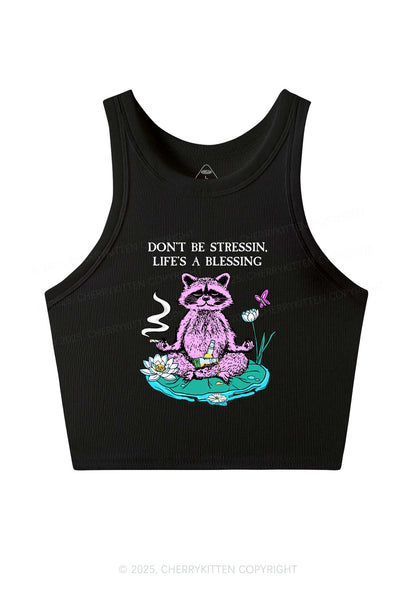 Dont Stress Raccoon Y2K Crop Tank Top Cherrykitten