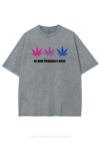 Bi Probably High Pride Y2K Shirts Washed Tee Cherrykitten