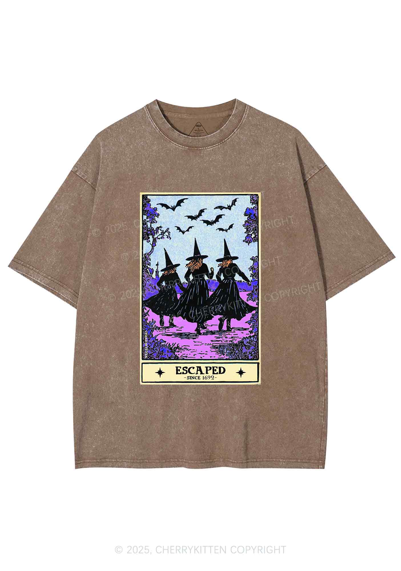 Halloween Escaped Witch Y2K Shirts Washed Tee Cherrykitten