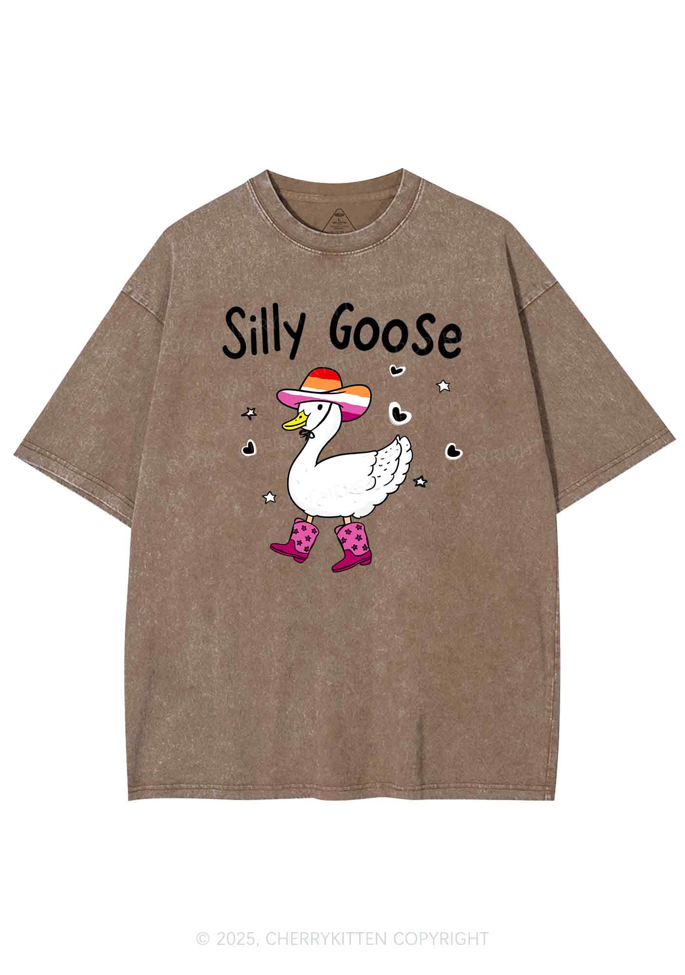 Silly Goose Lesbian Pride Y2K Shirts Washed Tee Cherrykitten