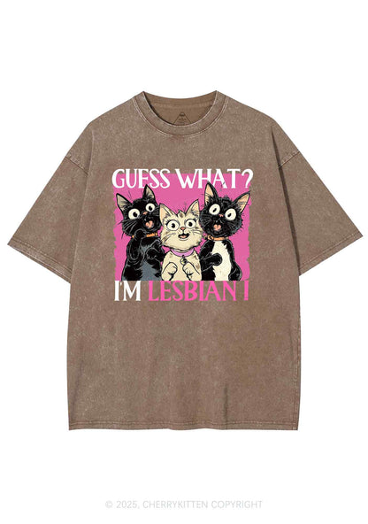 Im Lesbian Cat Pride Y2K Shirts Washed Tee Cherrykitten