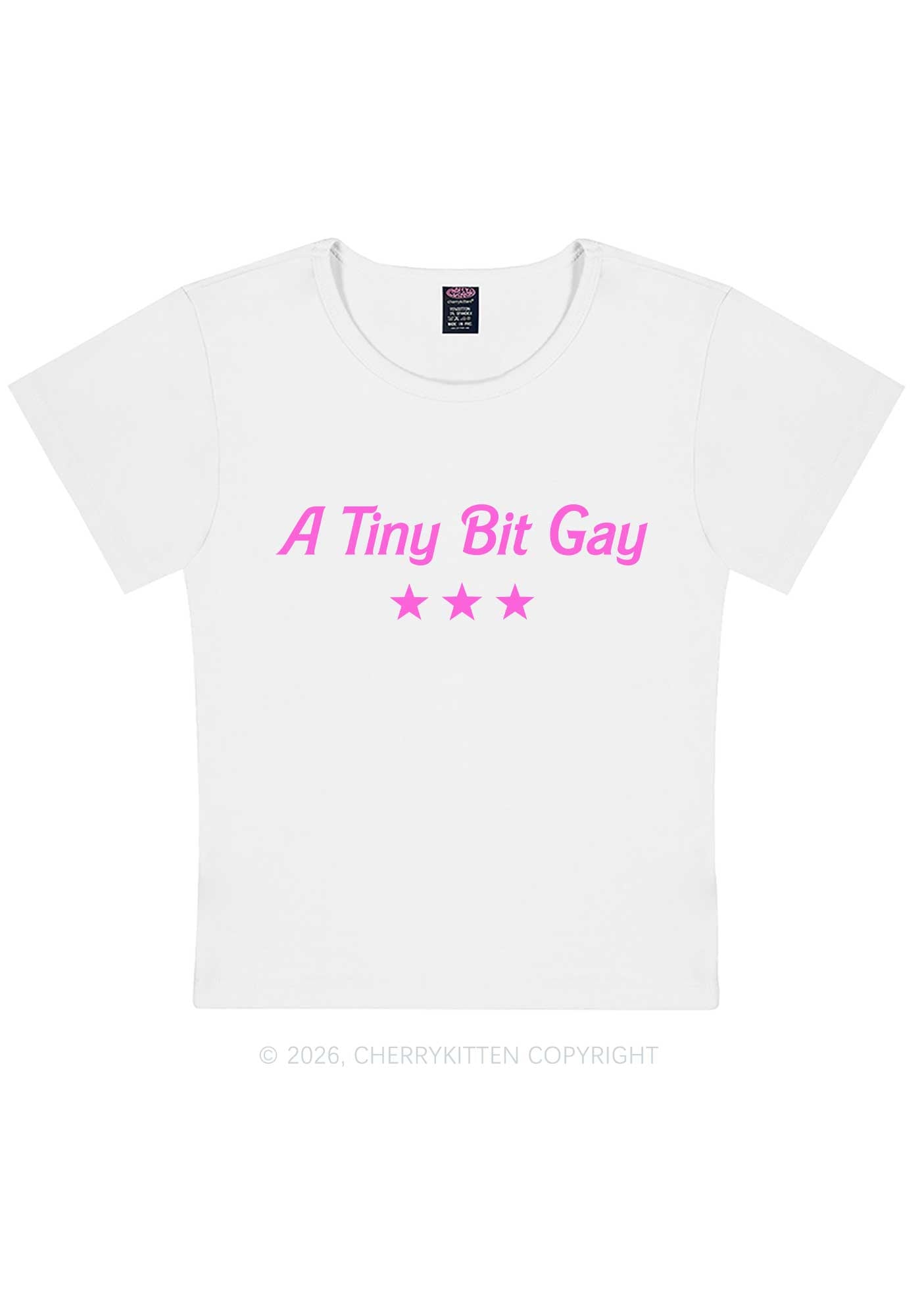 A Tiny Bit Gay Pride Y2K Baby Tee Cherrykitten