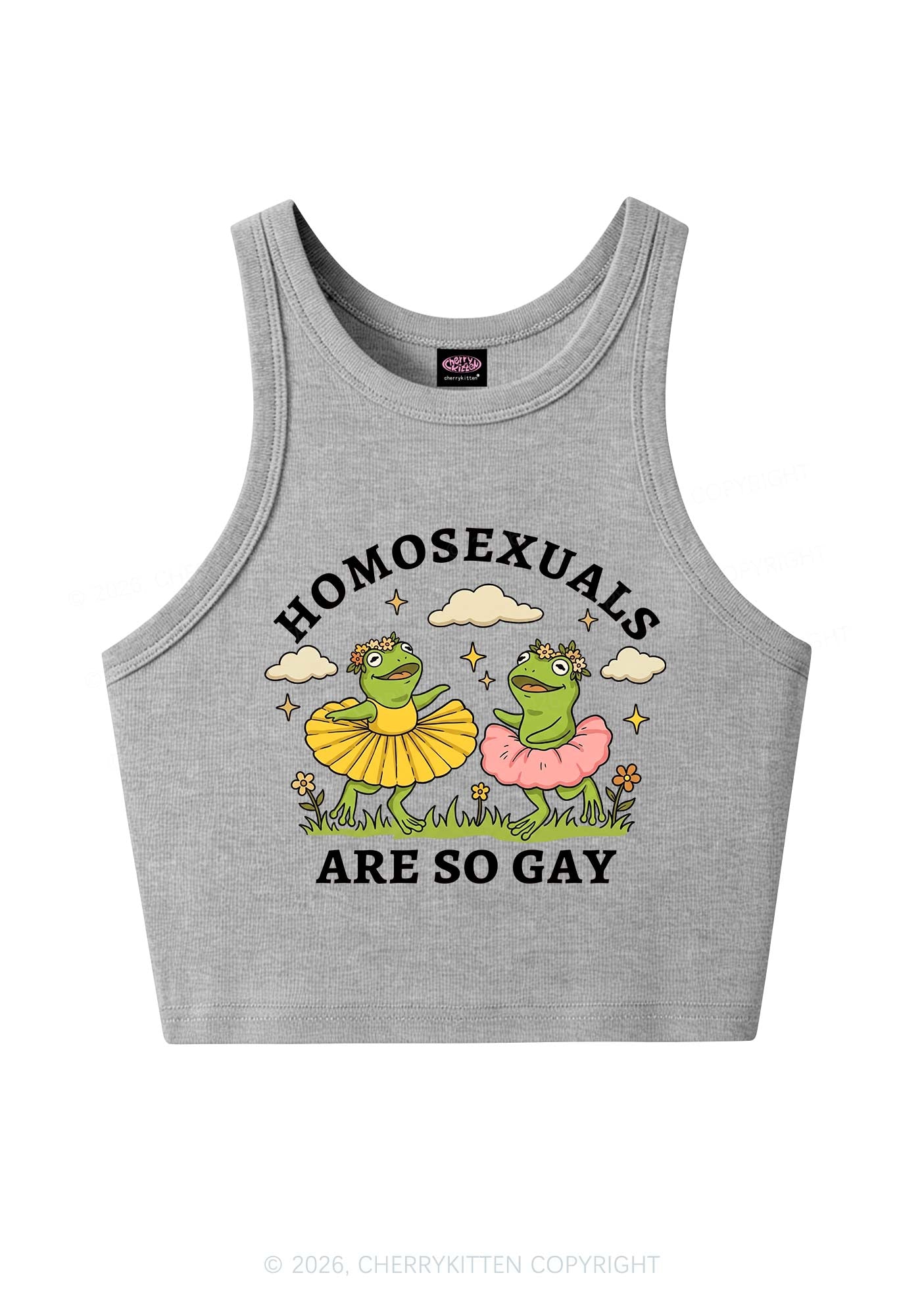 Homosexuals Are So Gay Pride Y2K Crop Tank Top Cherrykitten