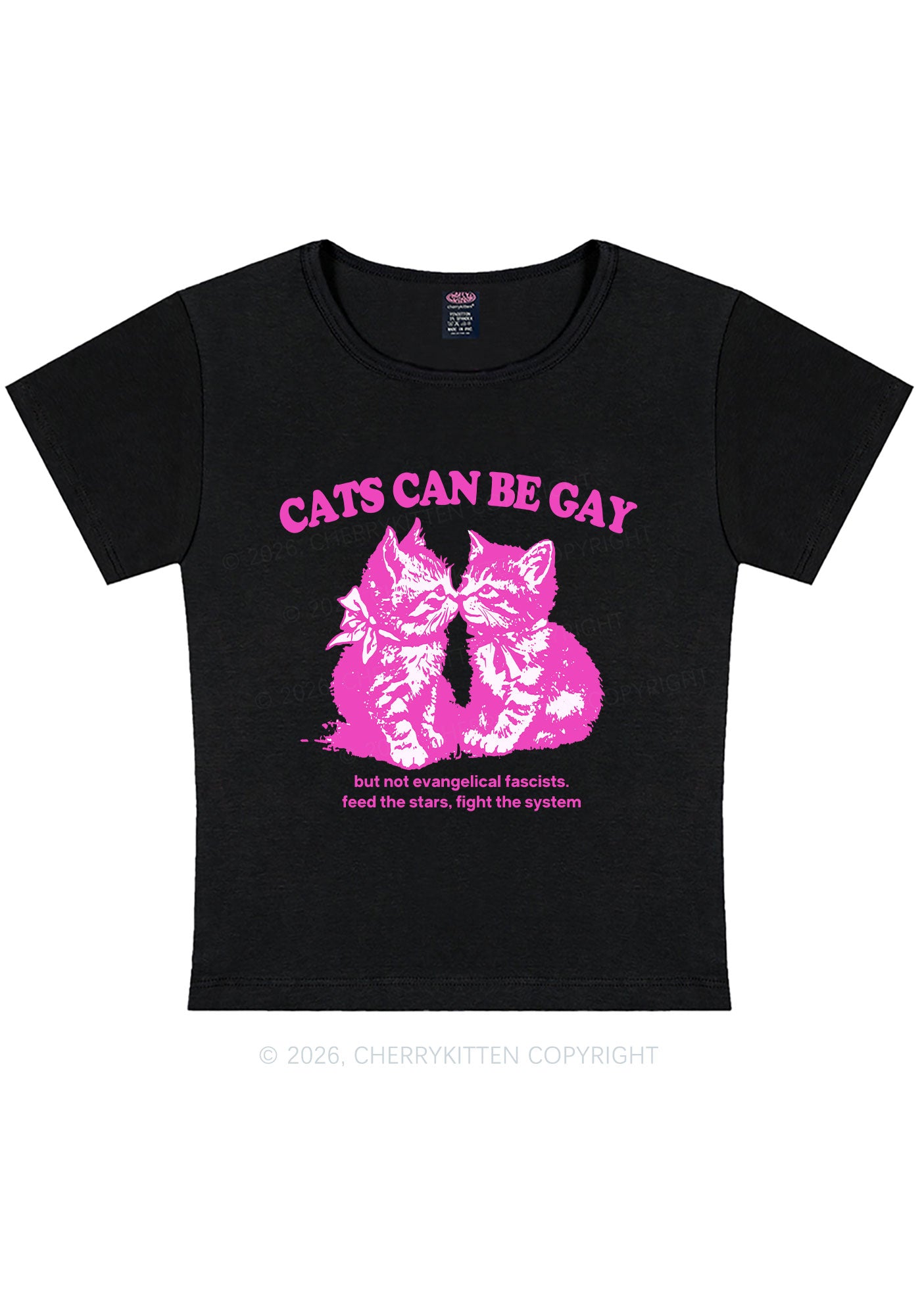 Cat Can Be Gay Pride Y2K Baby Tee Cherrykitten