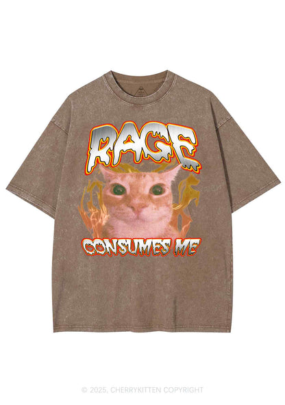 Rage Consumes Me Cat Y2K Shirts Washed Tee Cherrykitten