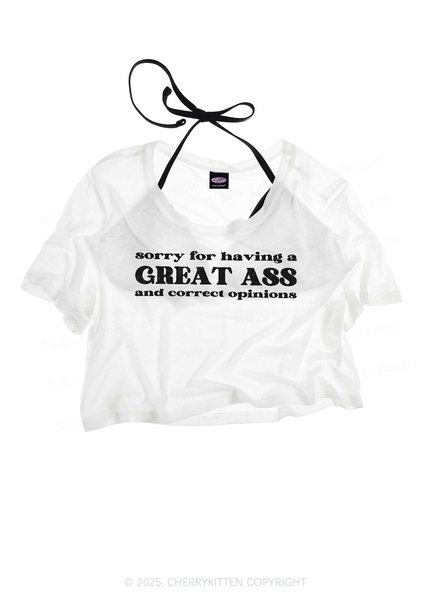 Sorry For Having Great Axx Y2K Sheer Crop Tee Cherrykitten