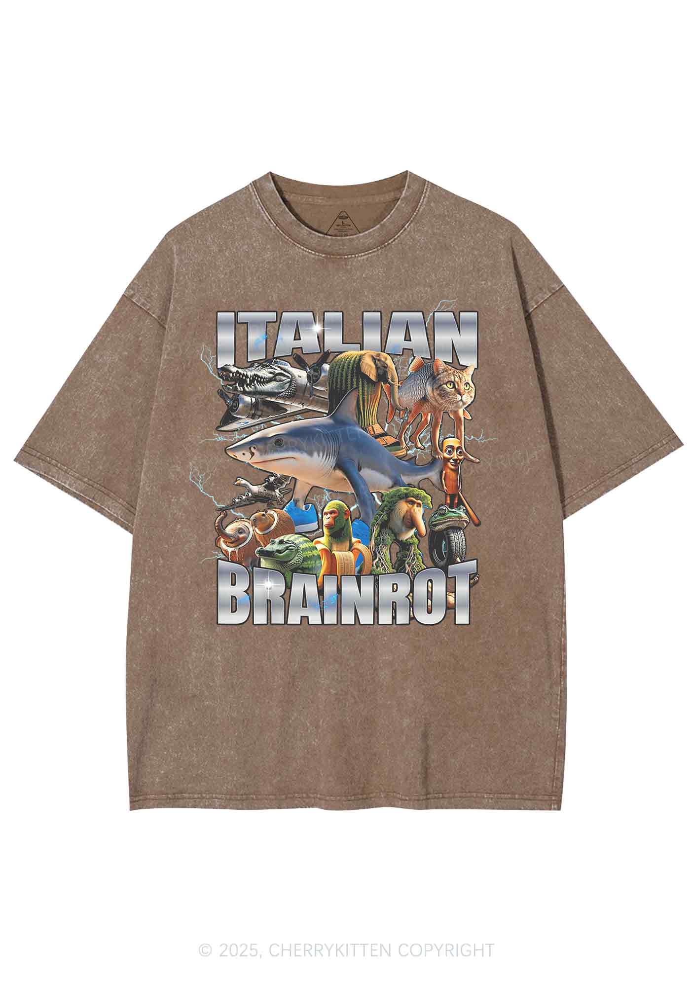Italian Brainrot Collection Y2K Shirts Washed Tee Cherrykitten