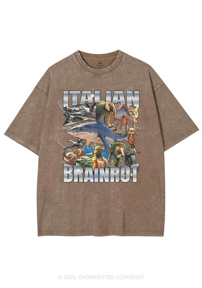 Italian Brainrot Collection Y2K Shirts Washed Tee Cherrykitten