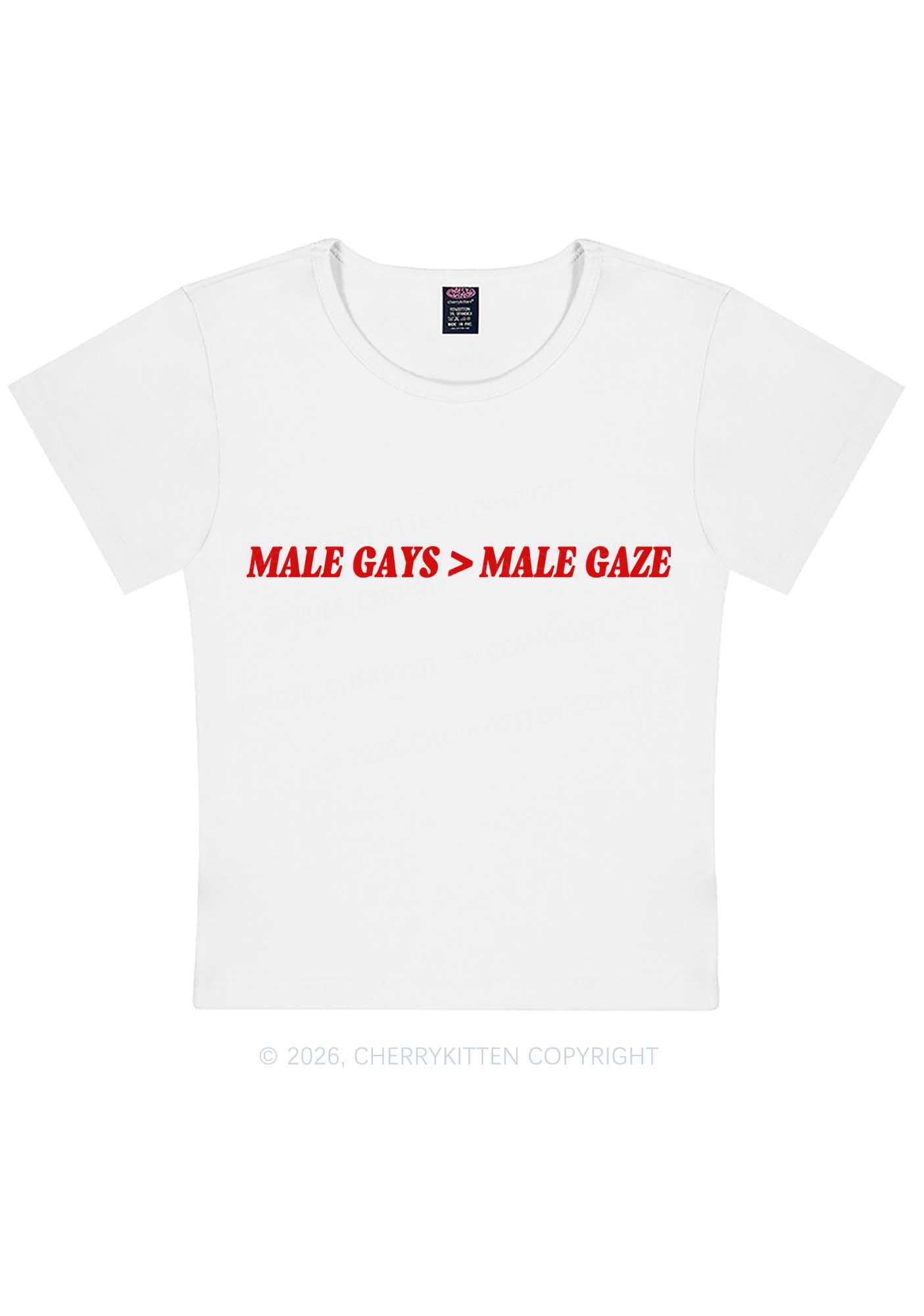 Male Gays Male Gaze Pride Y2K Baby Tee Cherrykitten