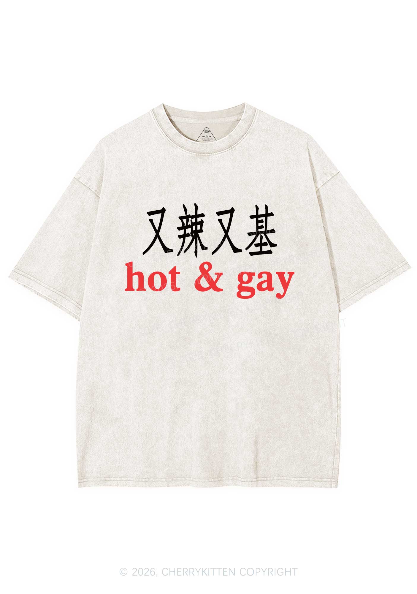 Hot Gay Pride Y2K Shirts Washed Tee Cherrykitten
