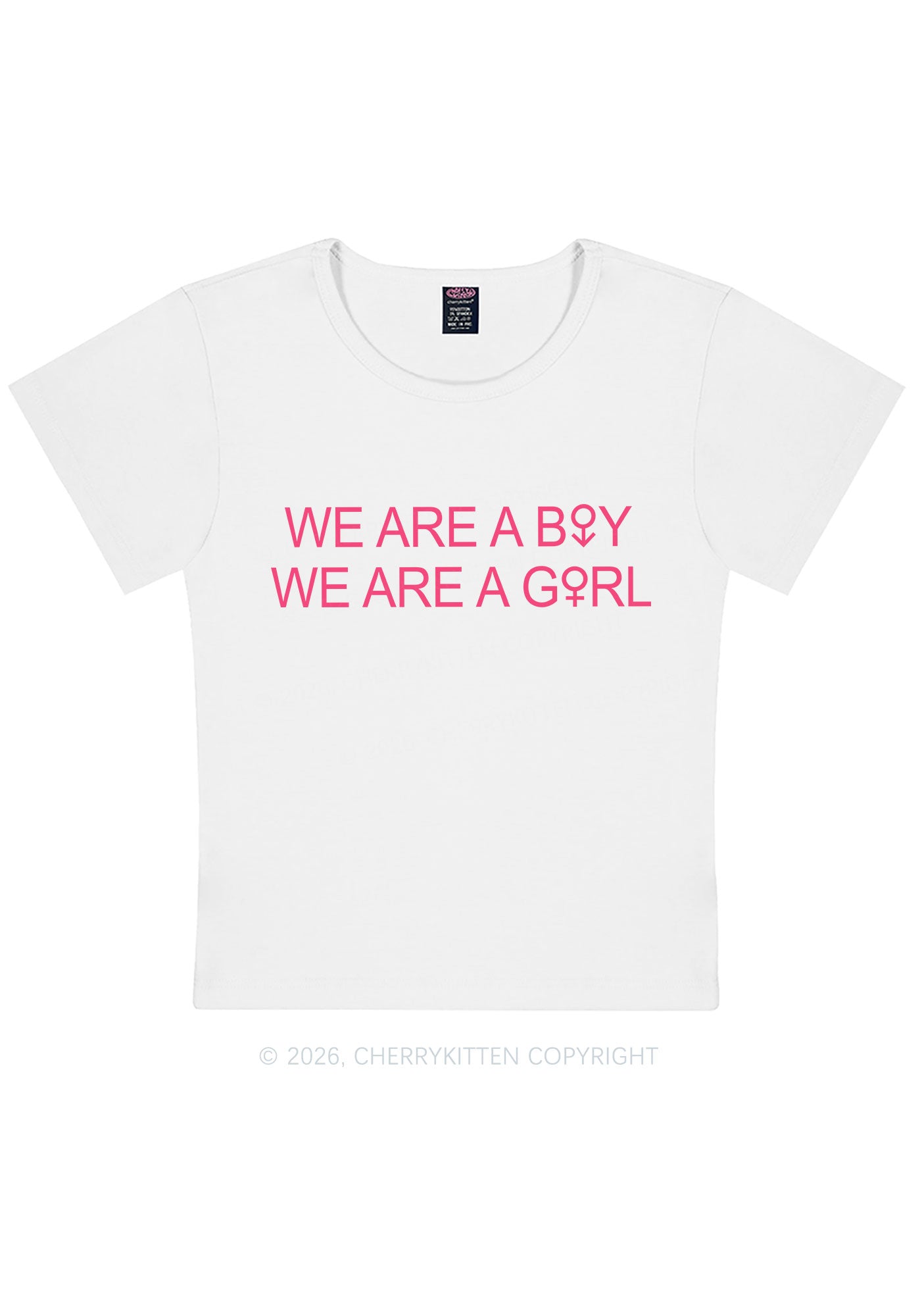 We Are A Boy Pride Y2K Baby Tee Cherrykitten