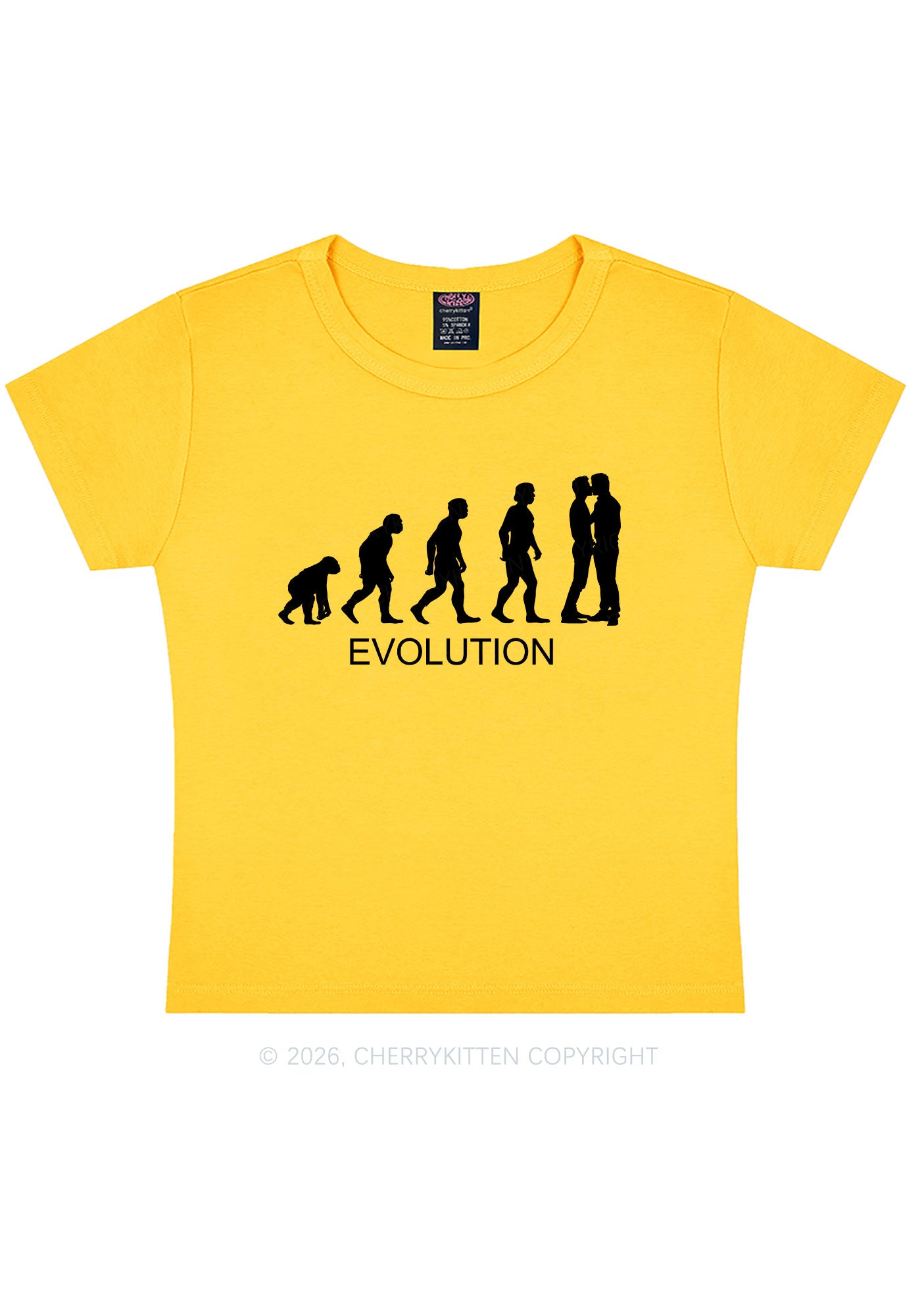 Gay Evolution Pride Y2K Baby Tee Cherrykitten