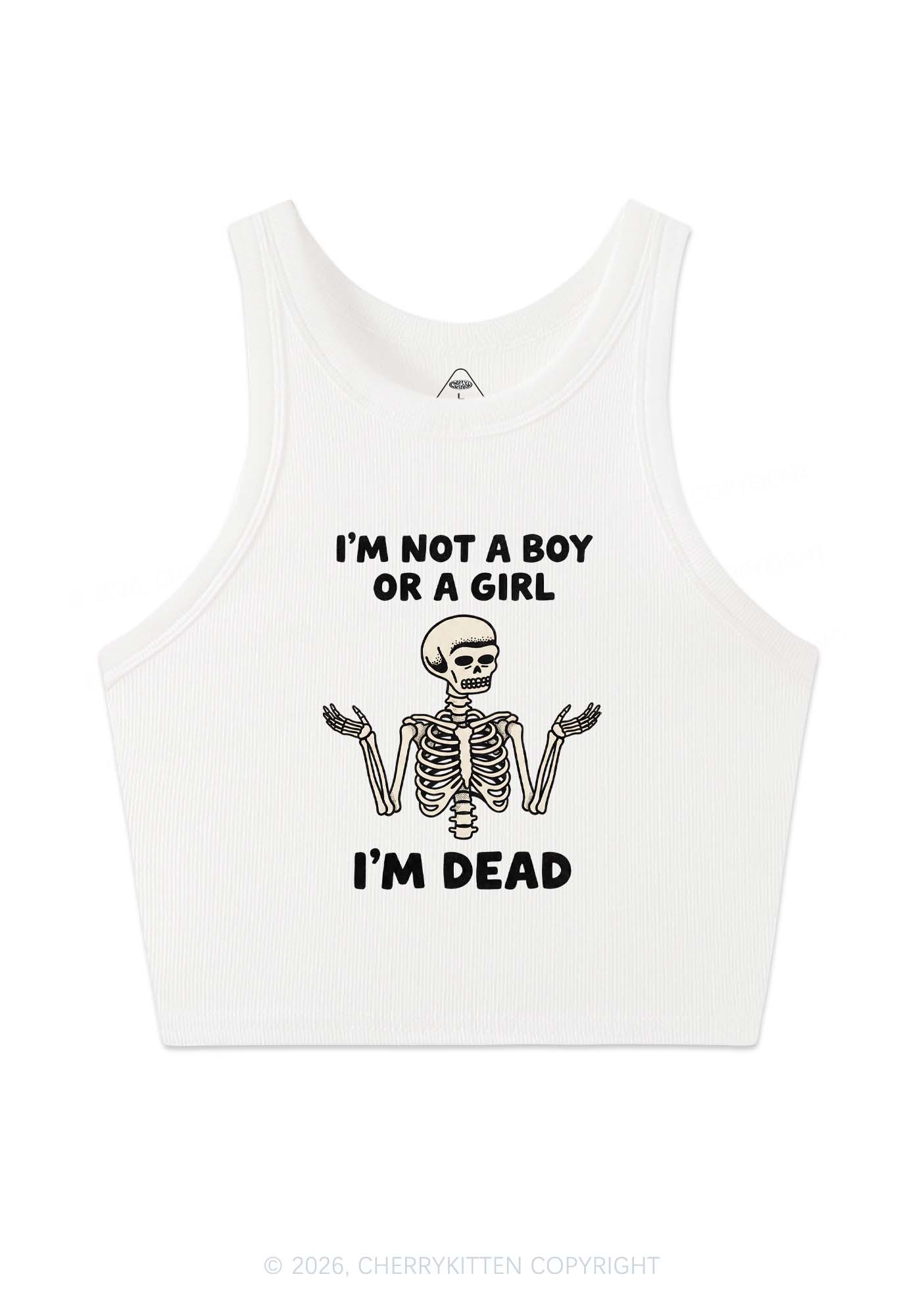 Im Not A Boy Or A Girl Pride Y2K Crop Tank Top Cherrykitten
