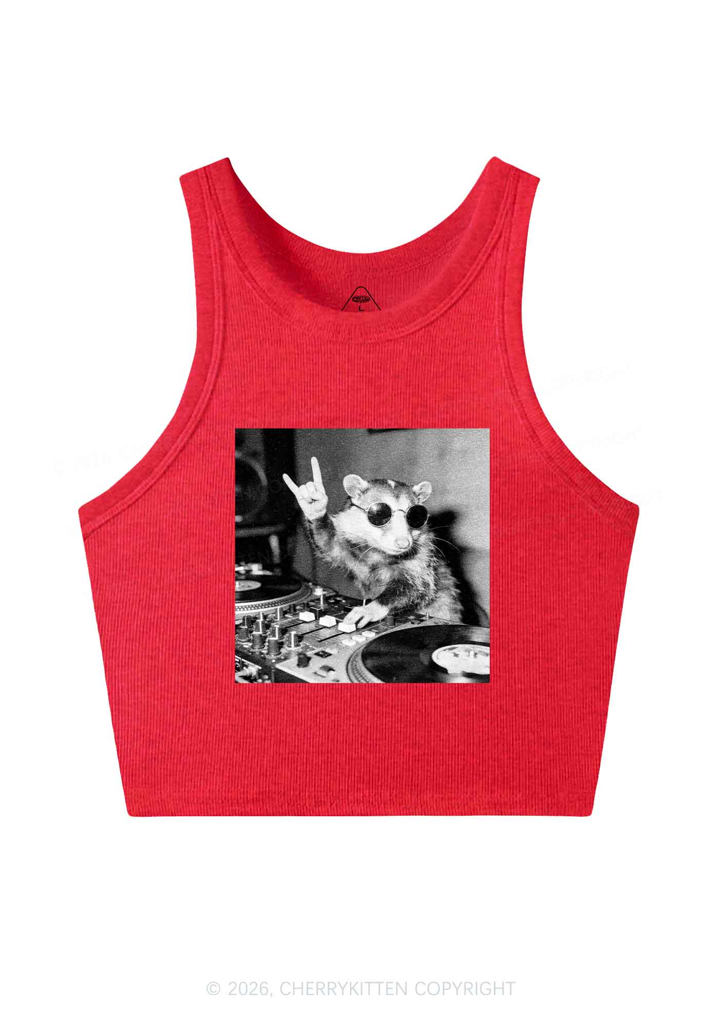 DJ Possum Y2K Crop Tank Top Cherrykitten