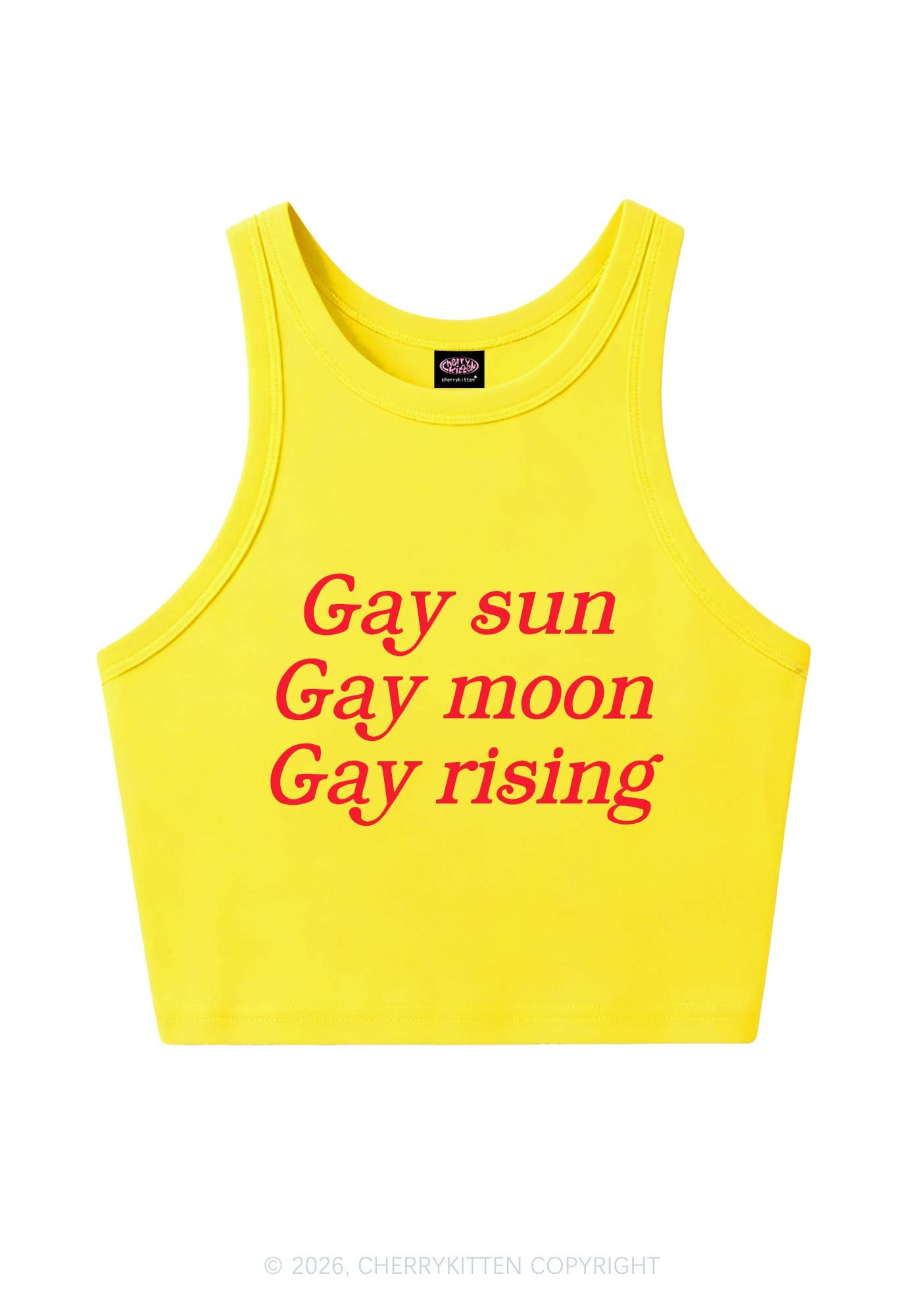 Gay Sun Moon Rising Pride Y2K Crop Tank Top Cherrykitten