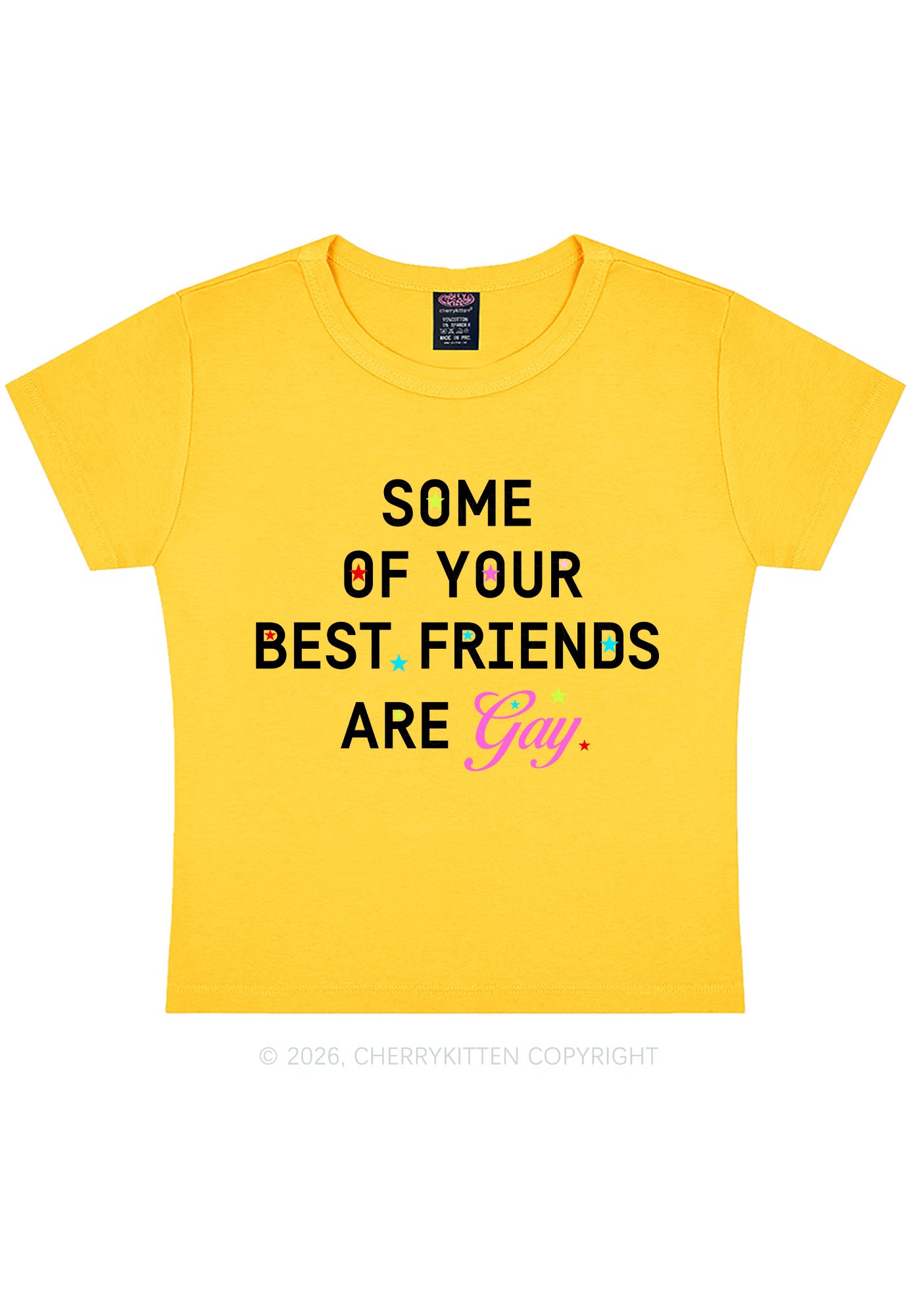 Your Best Friends Are Gay Pride Y2K Baby Tee Cherrykitten