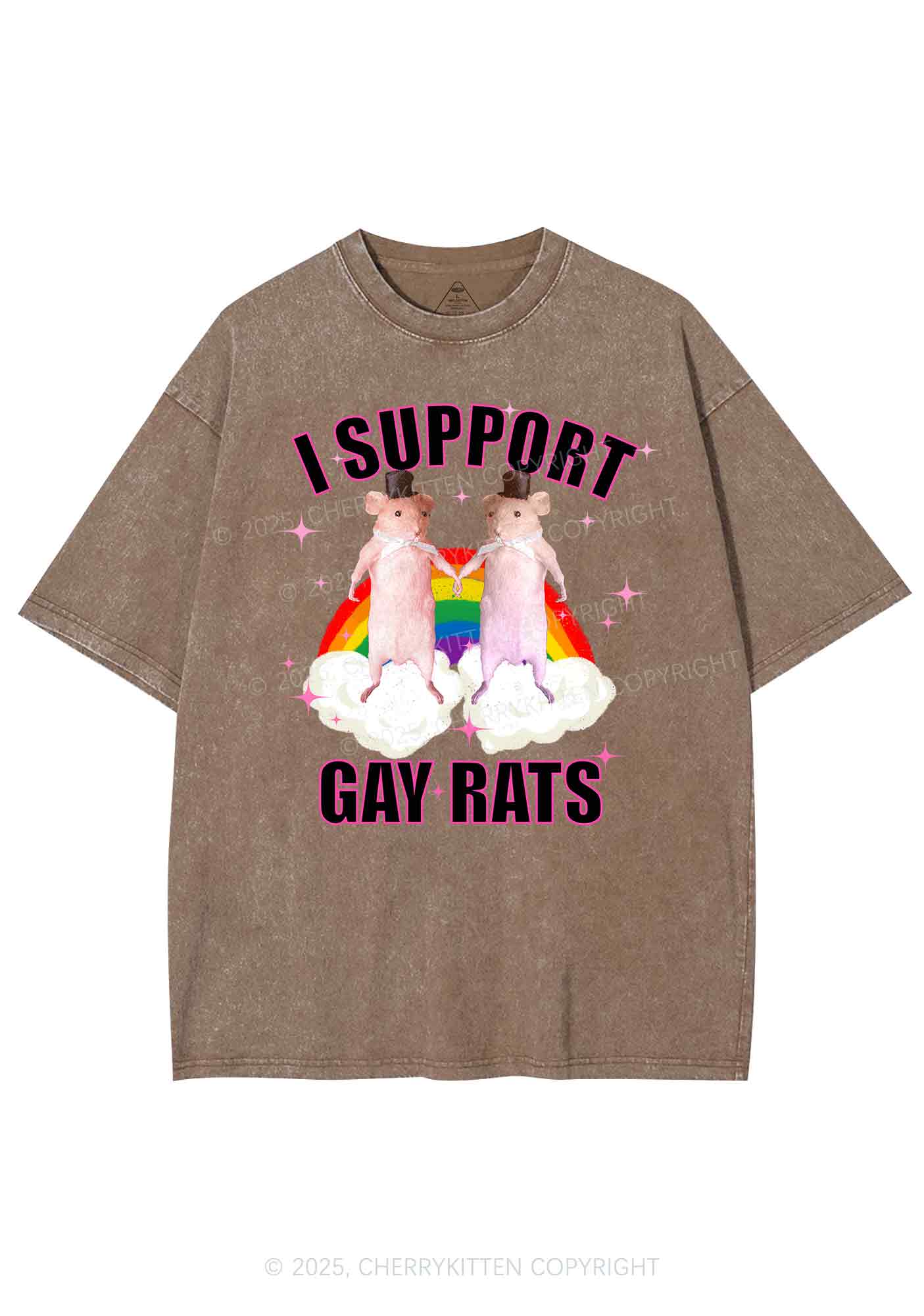 Support Gay Rats Pride Y2K Shirts Washed Tee Cherrykitten
