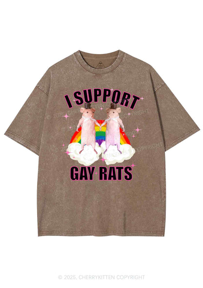 Support Gay Rats Pride Y2K Shirts Washed Tee Cherrykitten