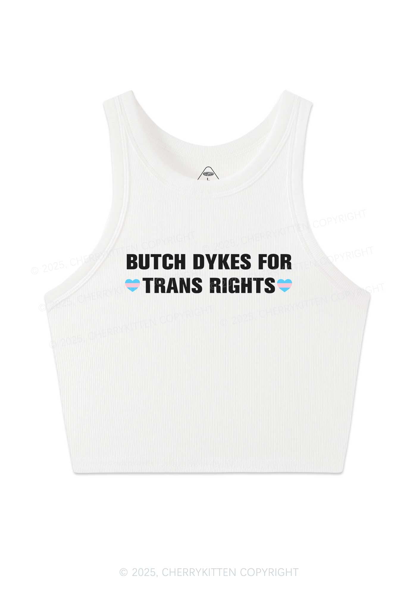 Butch Dykes For Trans Rights Y2K Crop Tank Top Cherrykitten