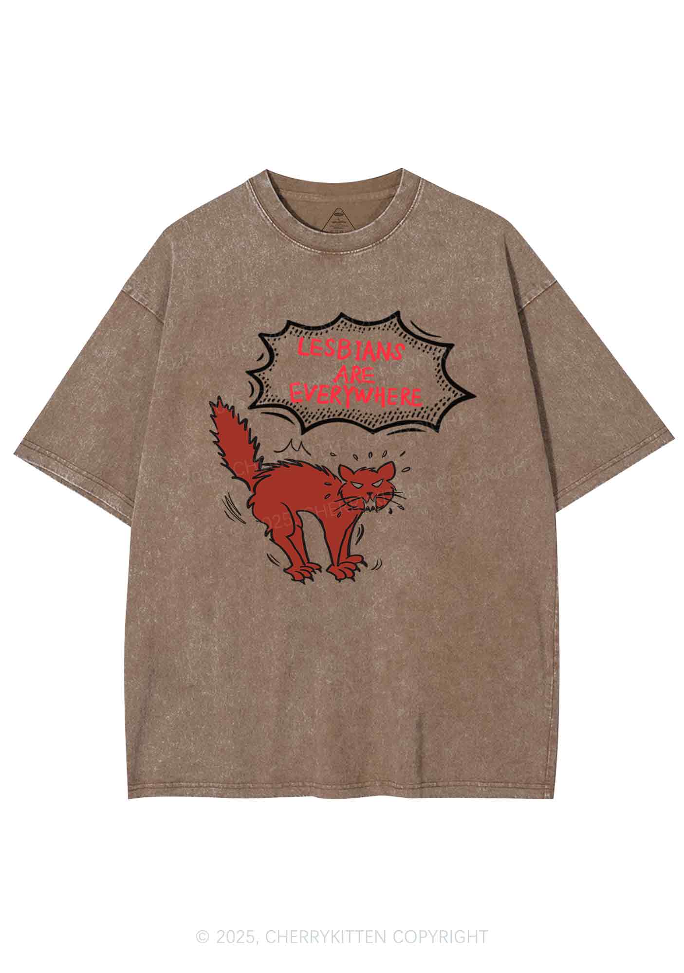 Lesbians Are Everywhere Y2K Shirts Washed Tee Cherrykitten