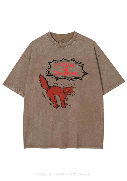 Lesbians Are Everywhere Y2K Shirts Washed Tee Cherrykitten