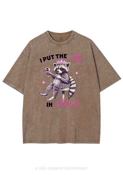 Bi Bxxch Raccoon Pride Y2K Shirts Washed Tee Cherrykitten