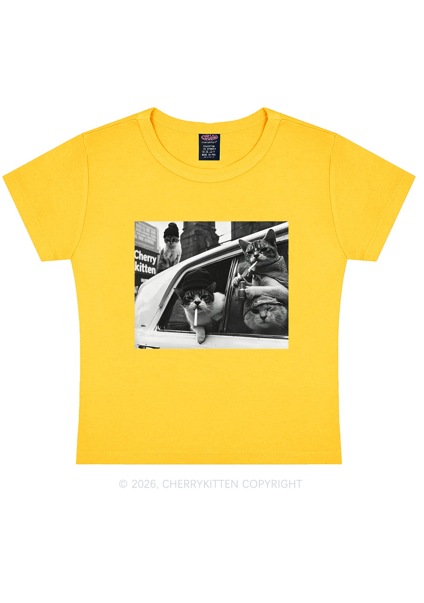 Cats Smoke In Car Y2K Baby Tee Cherrykitten
