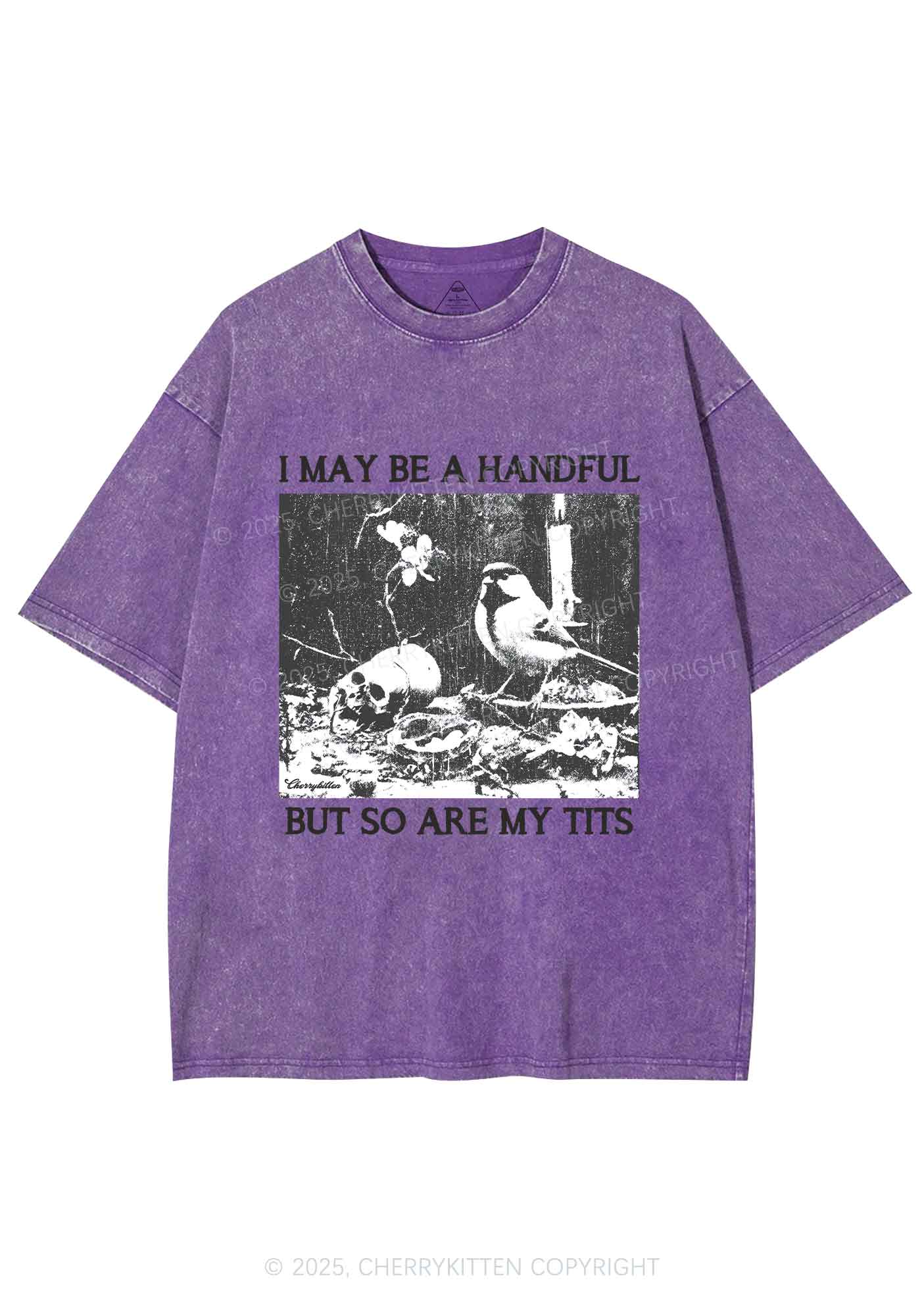 Halloween I May Be A Handful Y2K Shirts Washed Tee Cherrykitten