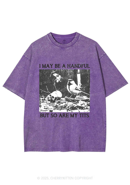 Halloween I May Be A Handful Y2K Shirts Washed Tee Cherrykitten
