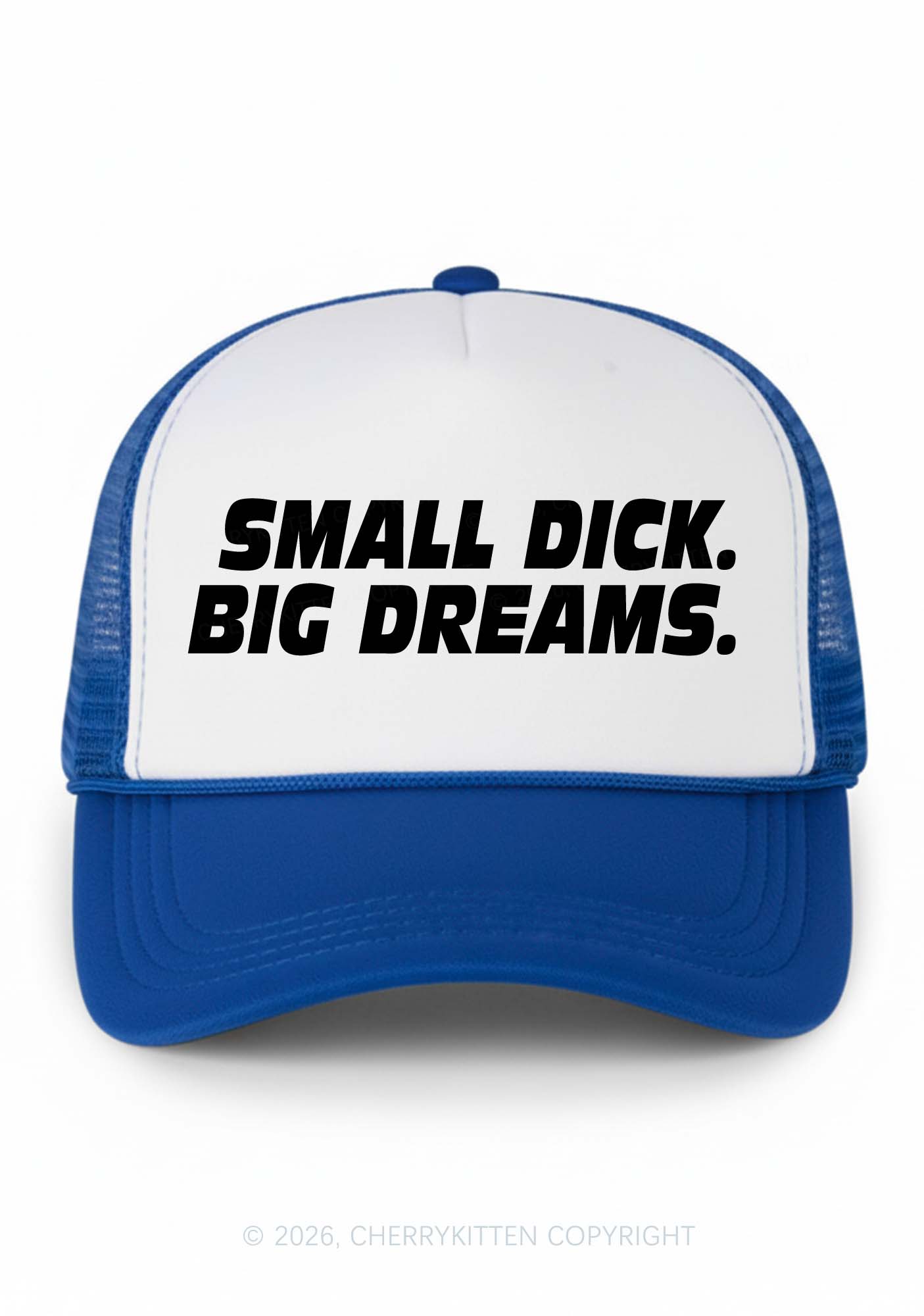 Small Dxxk Big Dreams Y2K Colorblock Trucker Hat Cherrykitten