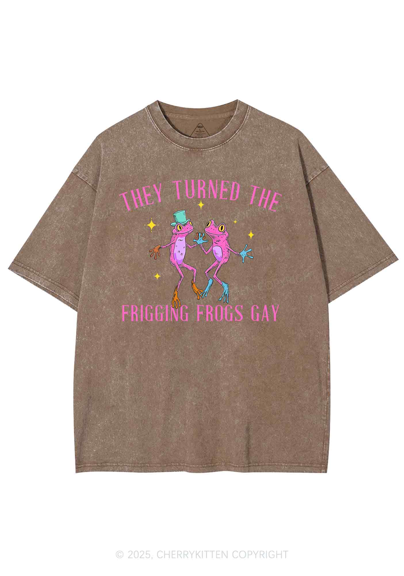 Frogs Gay Pride Y2K Shirts Washed Tee Cherrykitten