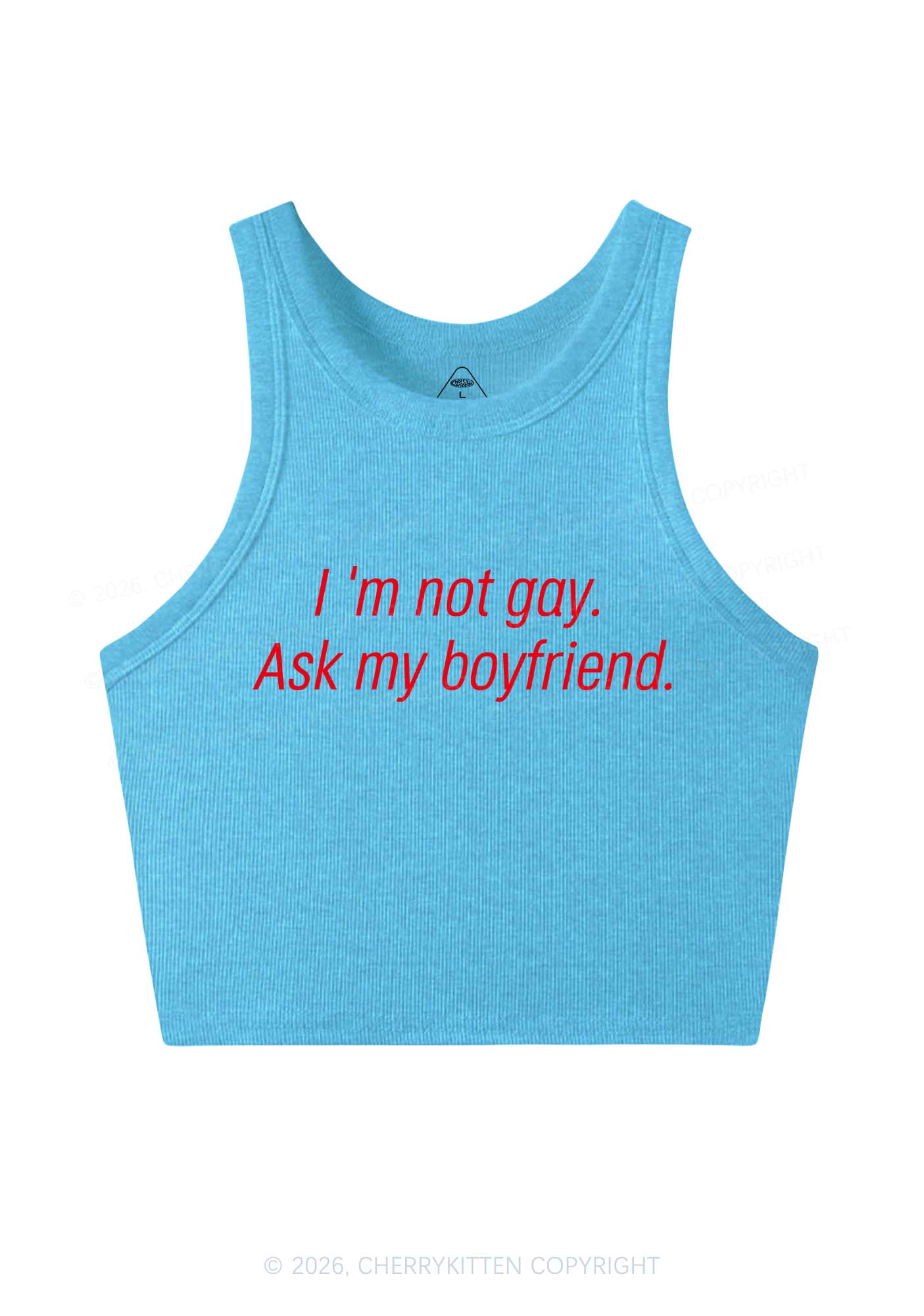 Im Not Gay Pride Y2K Crop Tank Top Cherrykitten