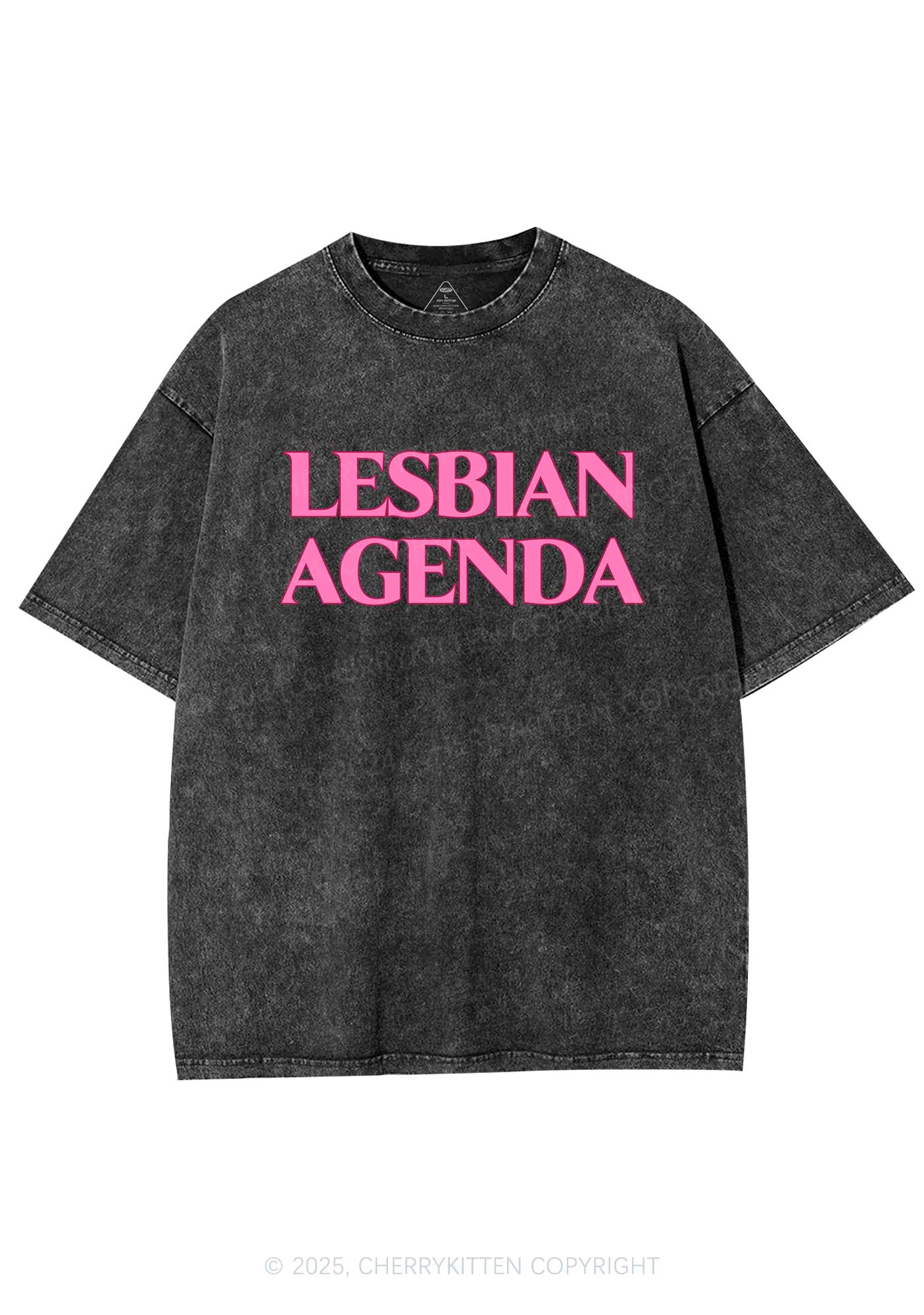 Lesbian Agenda Y2K Shirts Washed Tee Cherrykitten