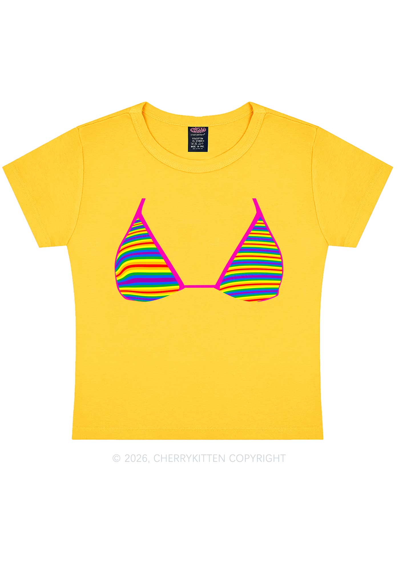 Rainbow Stripe Bra Pride Y2K Baby Tee Cherrykitten