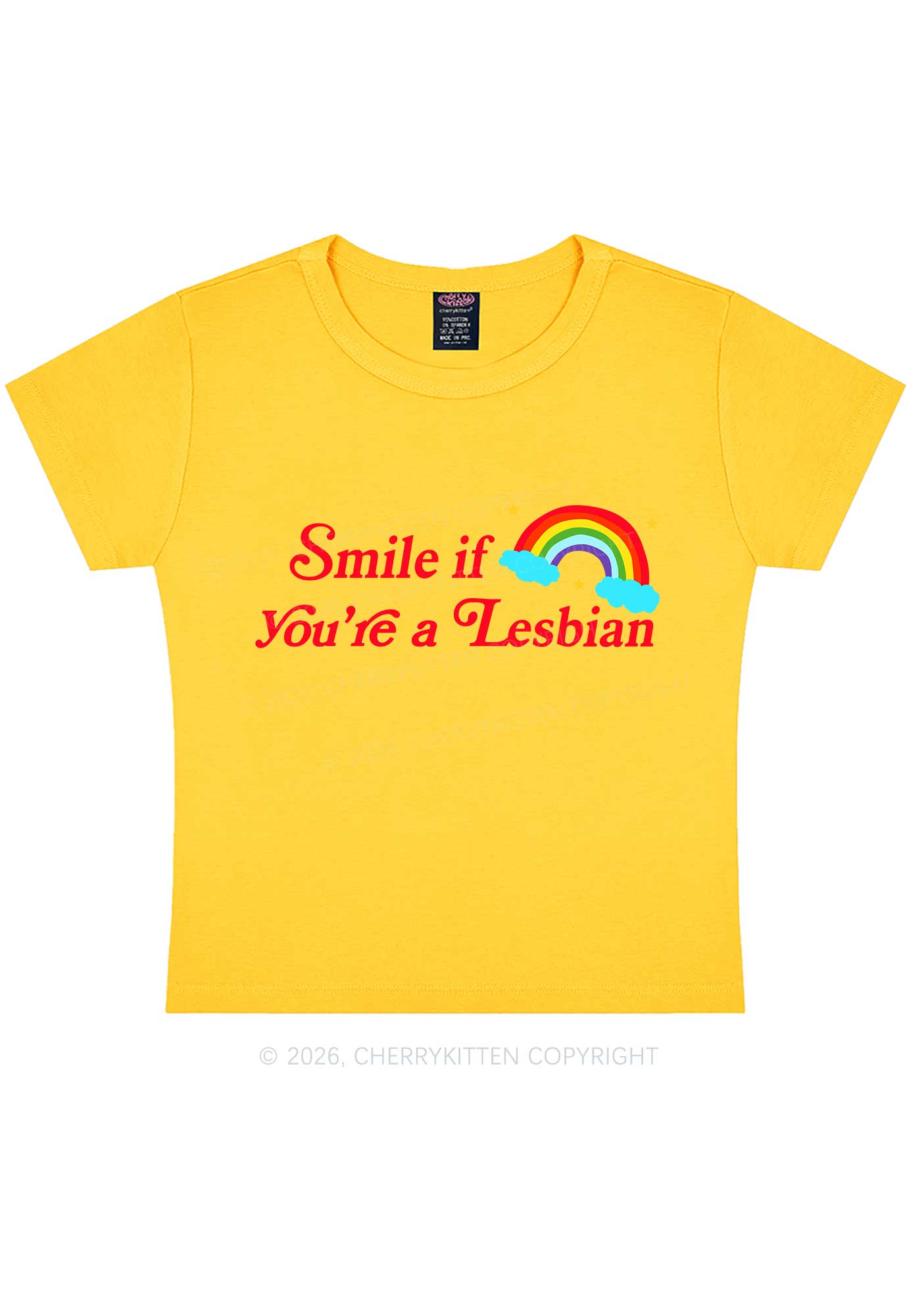 Smile If You Are Lesbian Pride Y2K Baby Tee Cherrykitten