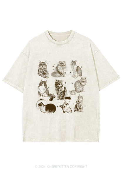 Retro Kitten Y2K Washed Tee Cherrykitten