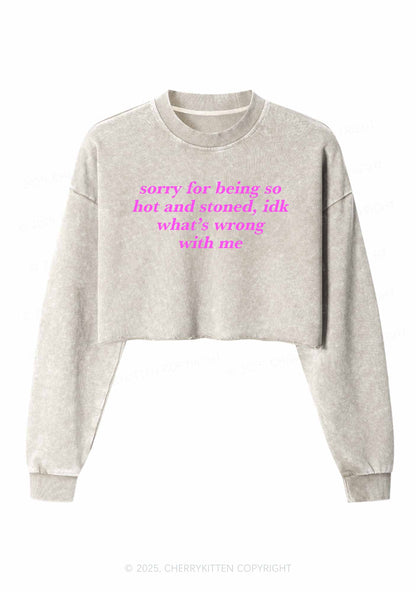 Sorry For Being Hot And Stoned Y2K Crop Washed Sweatshirts Cherrykitten