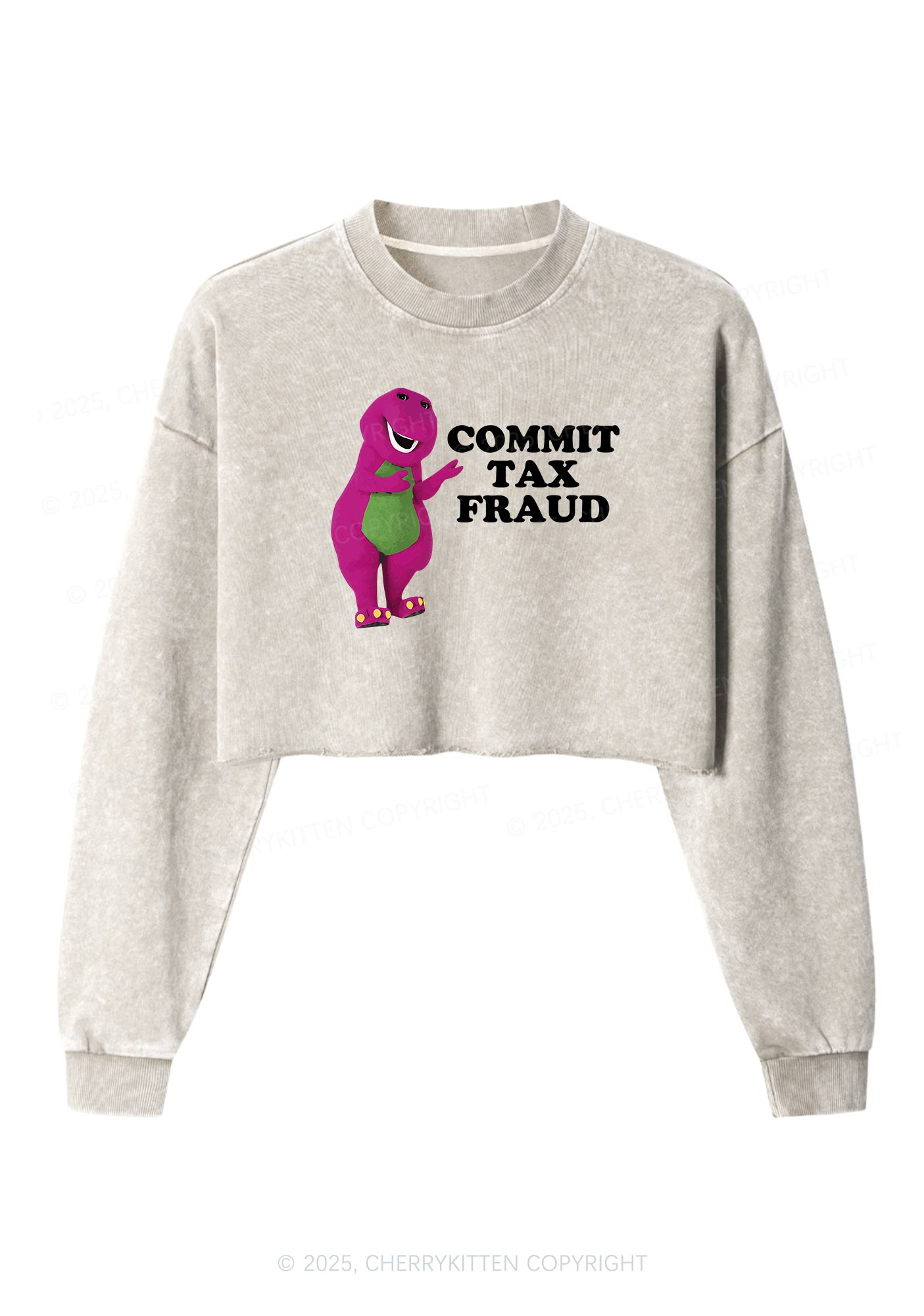 Commit Tax Fraud Y2K Crop Washed Sweatshirts Cherrykitten