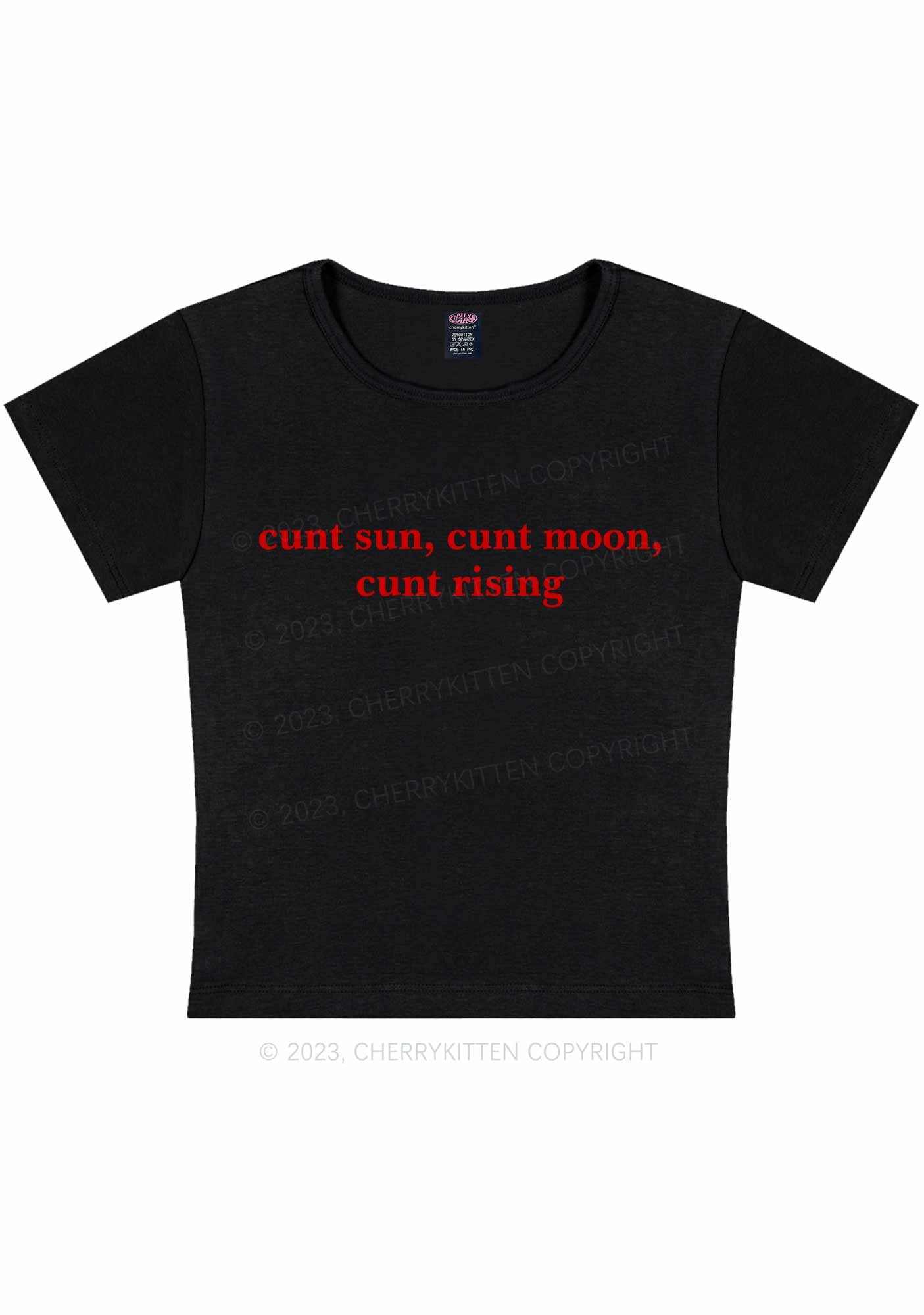 Curvy Sun Moon Rising Y2K Baby Tee Cherrykitten