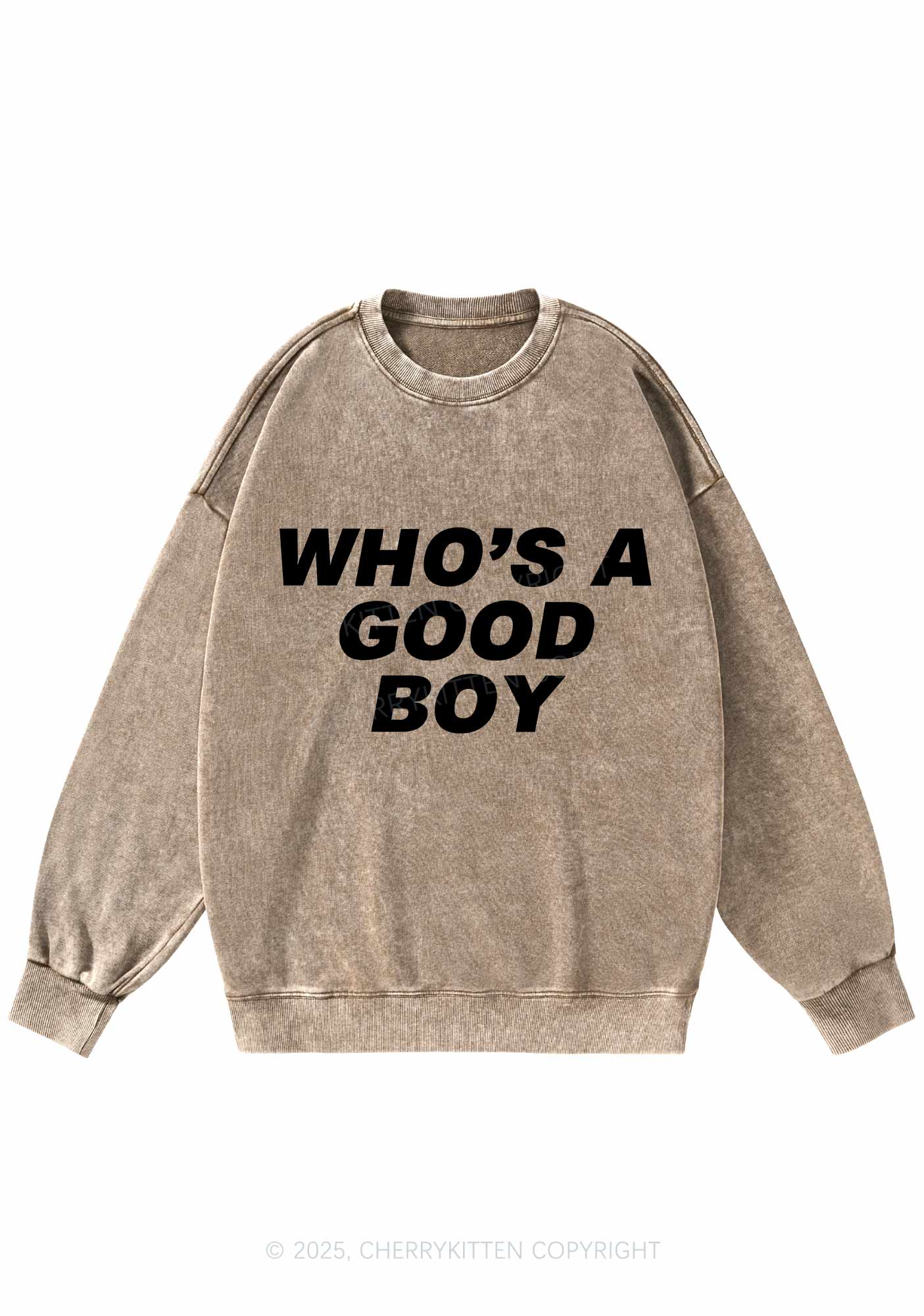 Whos A Good Boy Y2K Washed Sweatshirts Cherrykitten