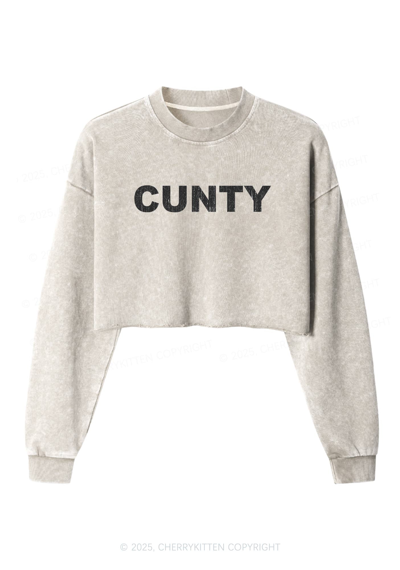 Cunty Y2K Crop Washed Sweatshirts Cherrykitten