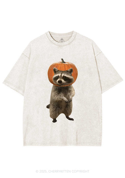 Halloween Silly Raccoon Y2K Shirts Washed Tee Cherrykitten