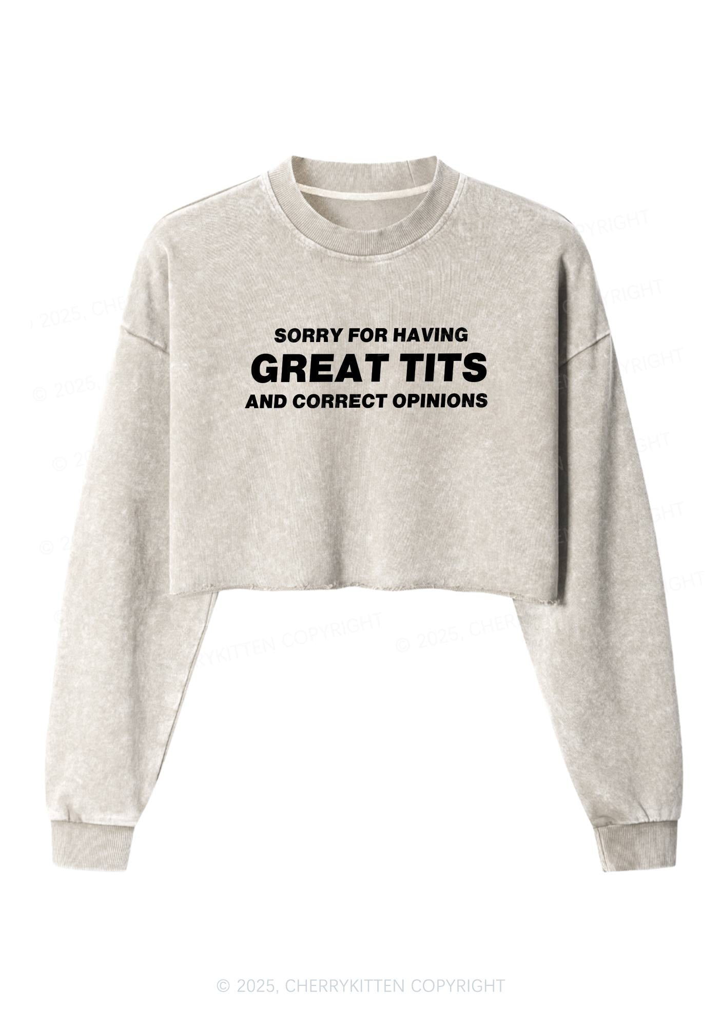 Sorry For Having Correct Opinions Y2K Crop Washed Sweatshirts Cherrykitten