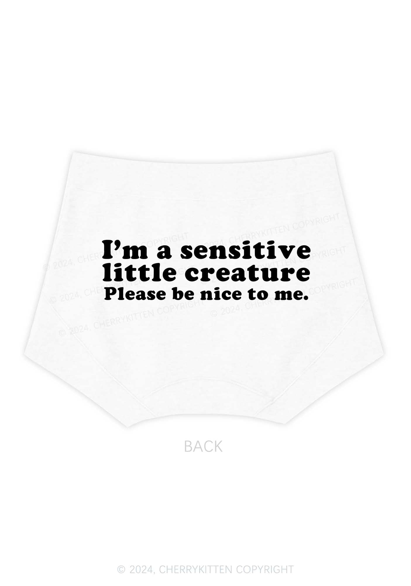 Sensitive Little Creature Y2K Mid Rise Waist Boyshort Cherrykitten