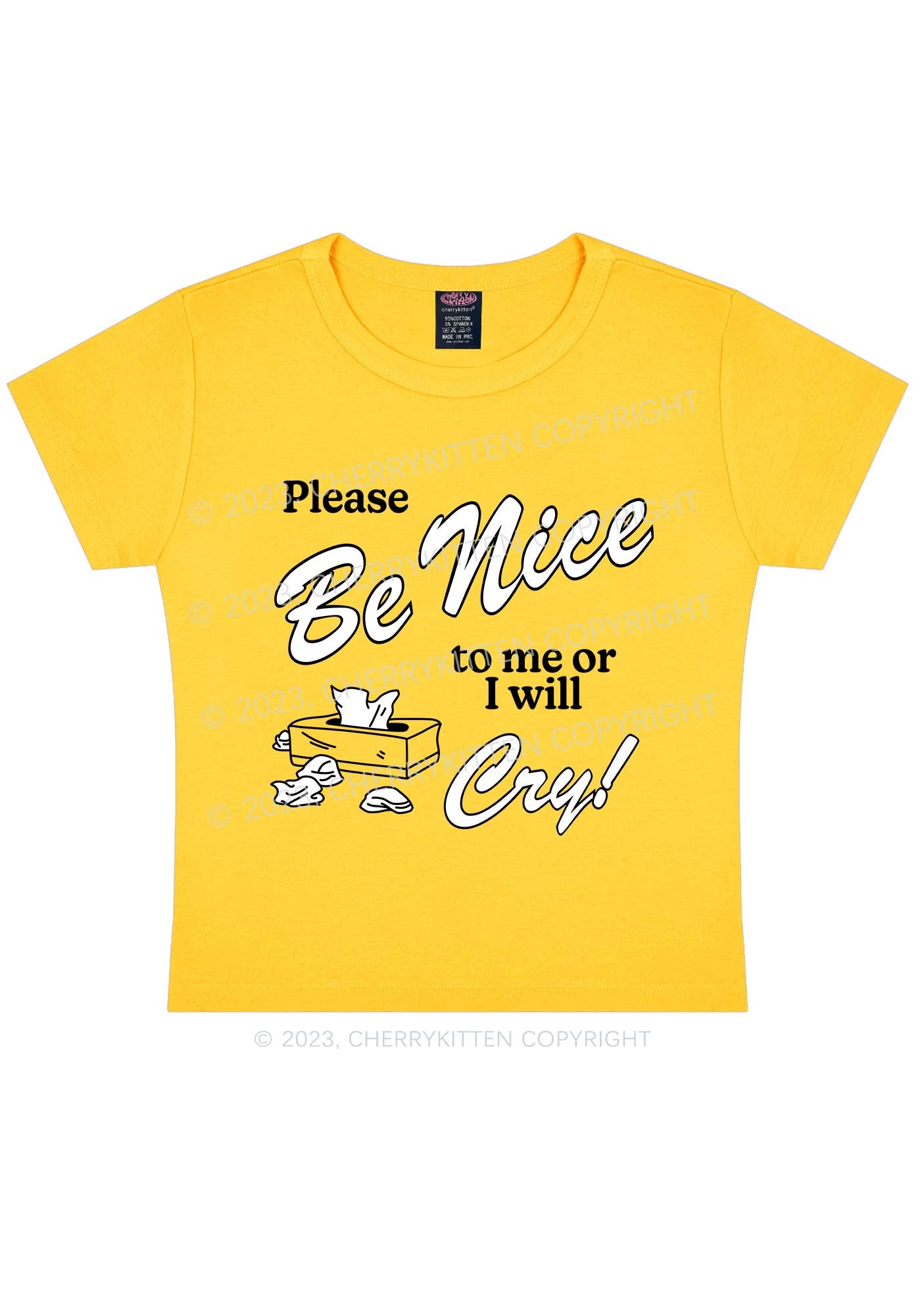 Please Be Nice To Me Or I Will Cry Y2K Baby Tee