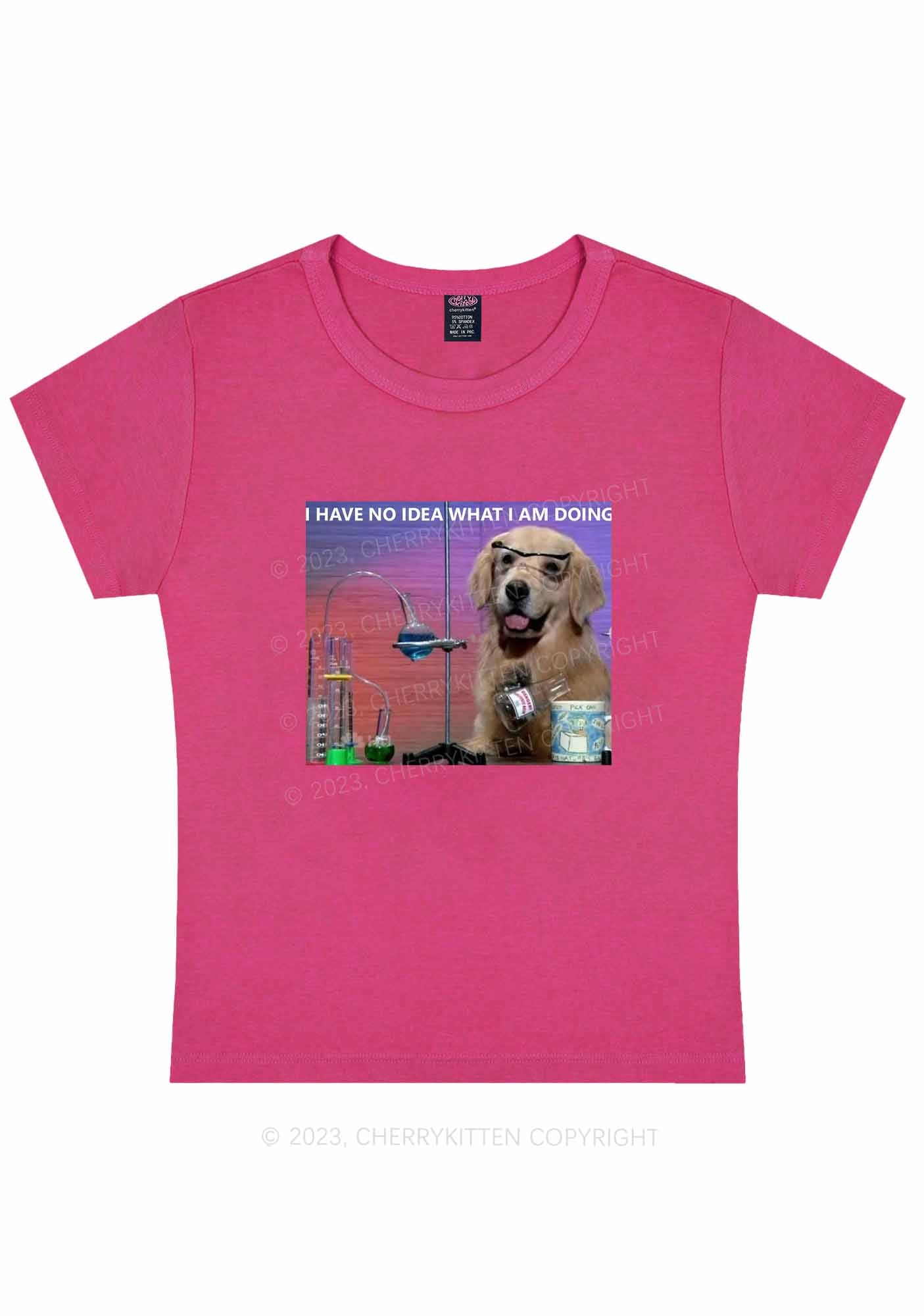 Curvy I Have No Idea Y2K Baby Tee Cherrykitten