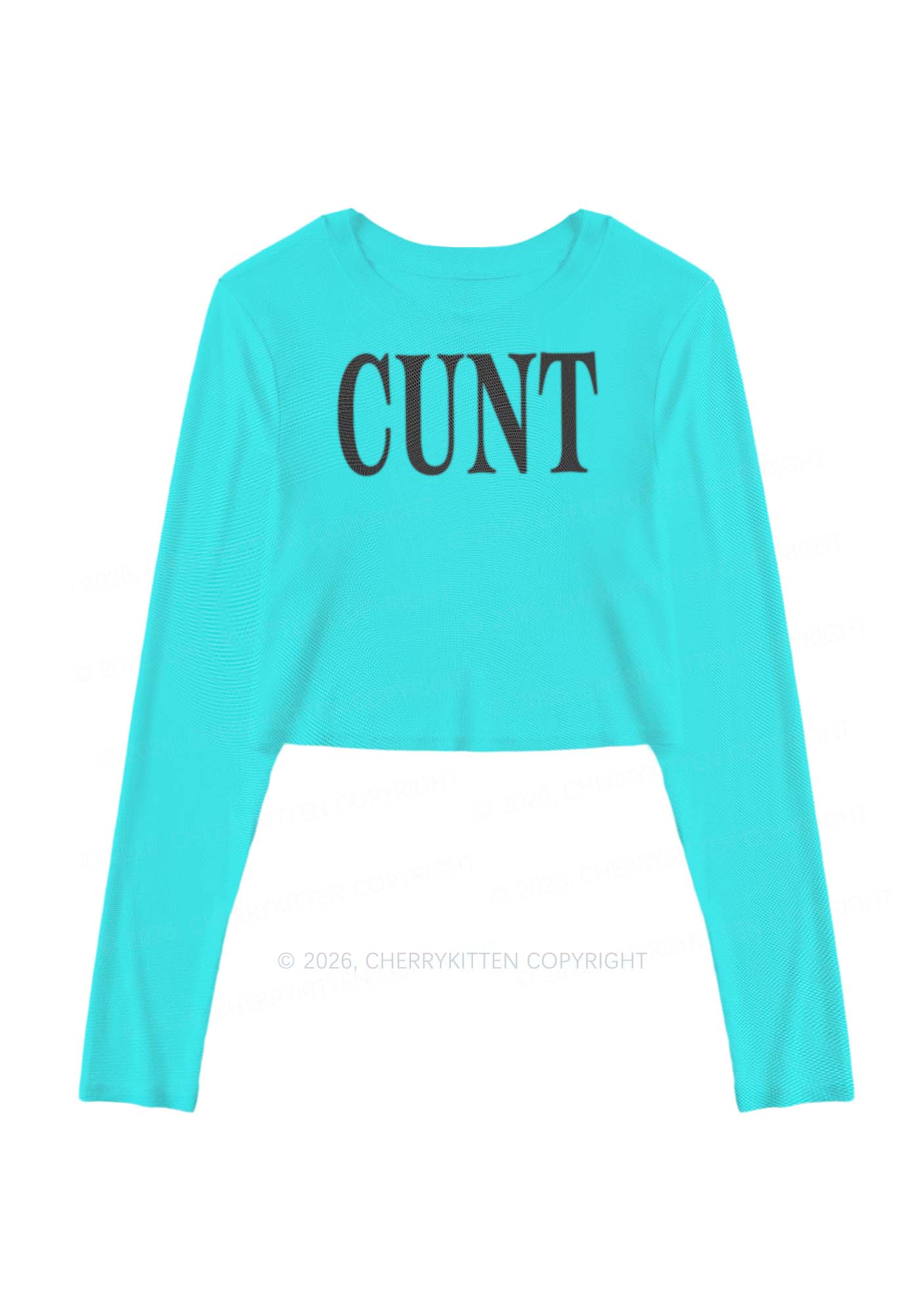 Aqua Blue Cxxt Y2K Mesh Long Sleeve Crop Top Cherrykitten