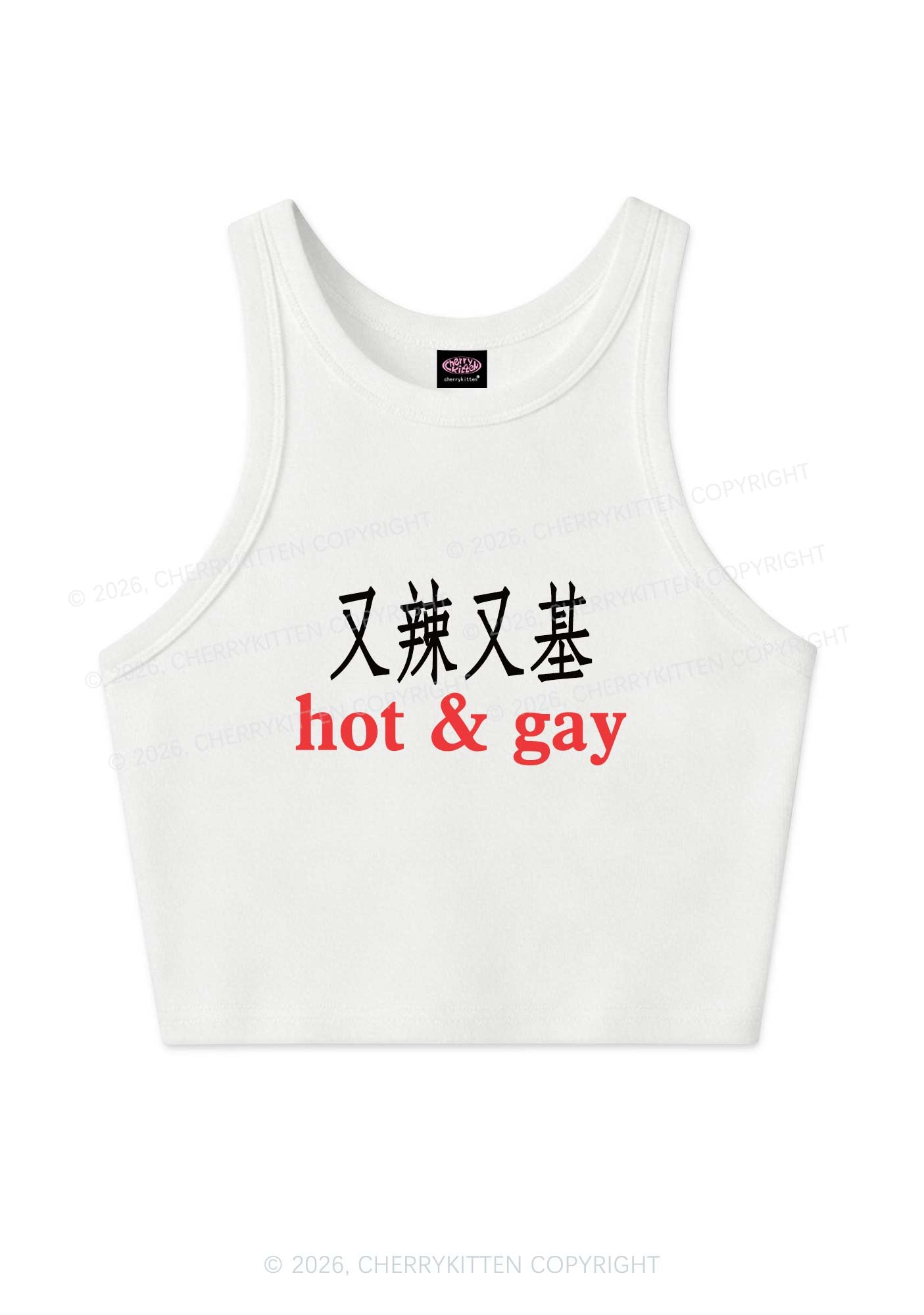 Hot Gay Pride Y2K Crop Tank Top Cherrykitten