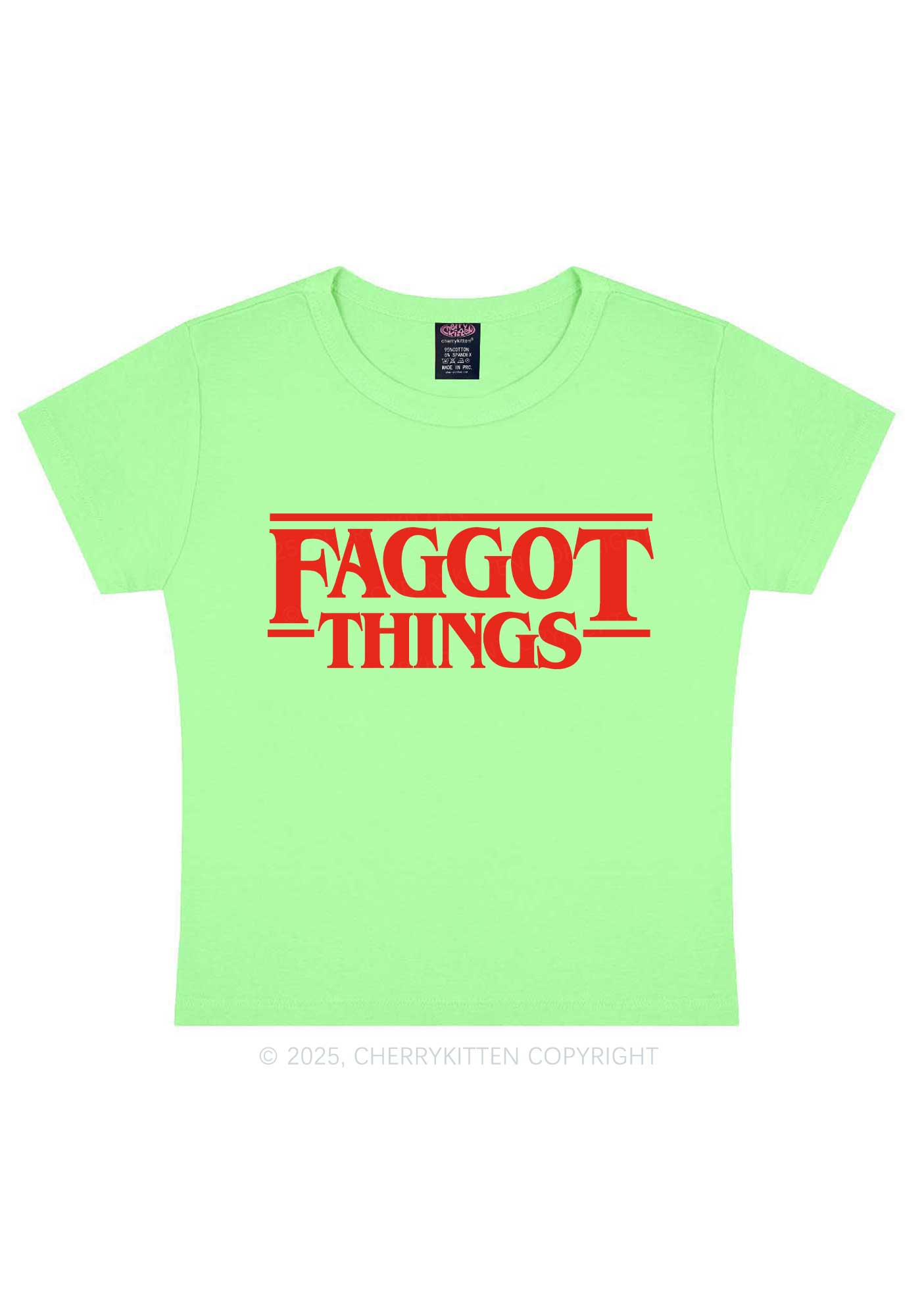 Faggot Things Pride Y2K Baby Tee Cherrykitten